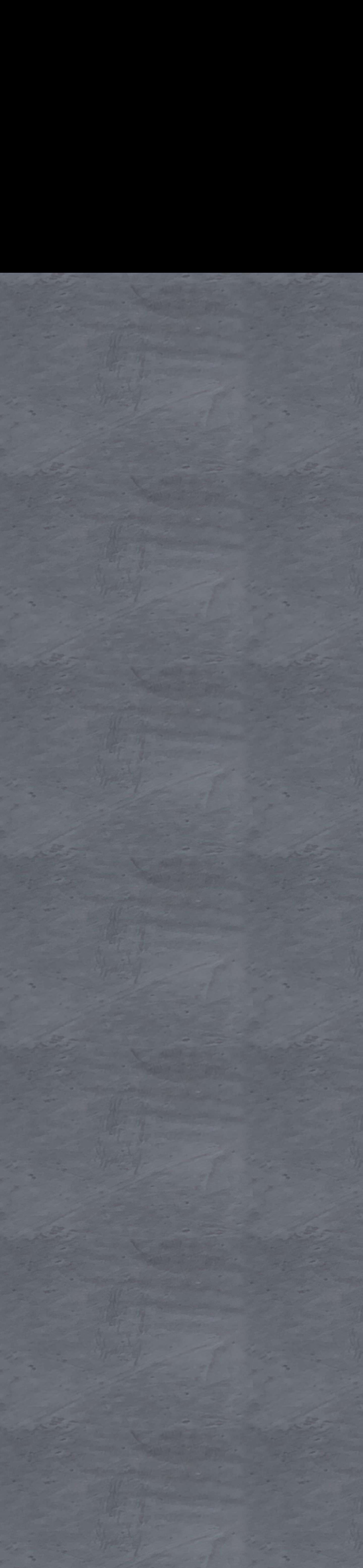 Extensions Dance Center | Chicago's premier pre-professional dance company - Full Screenshot