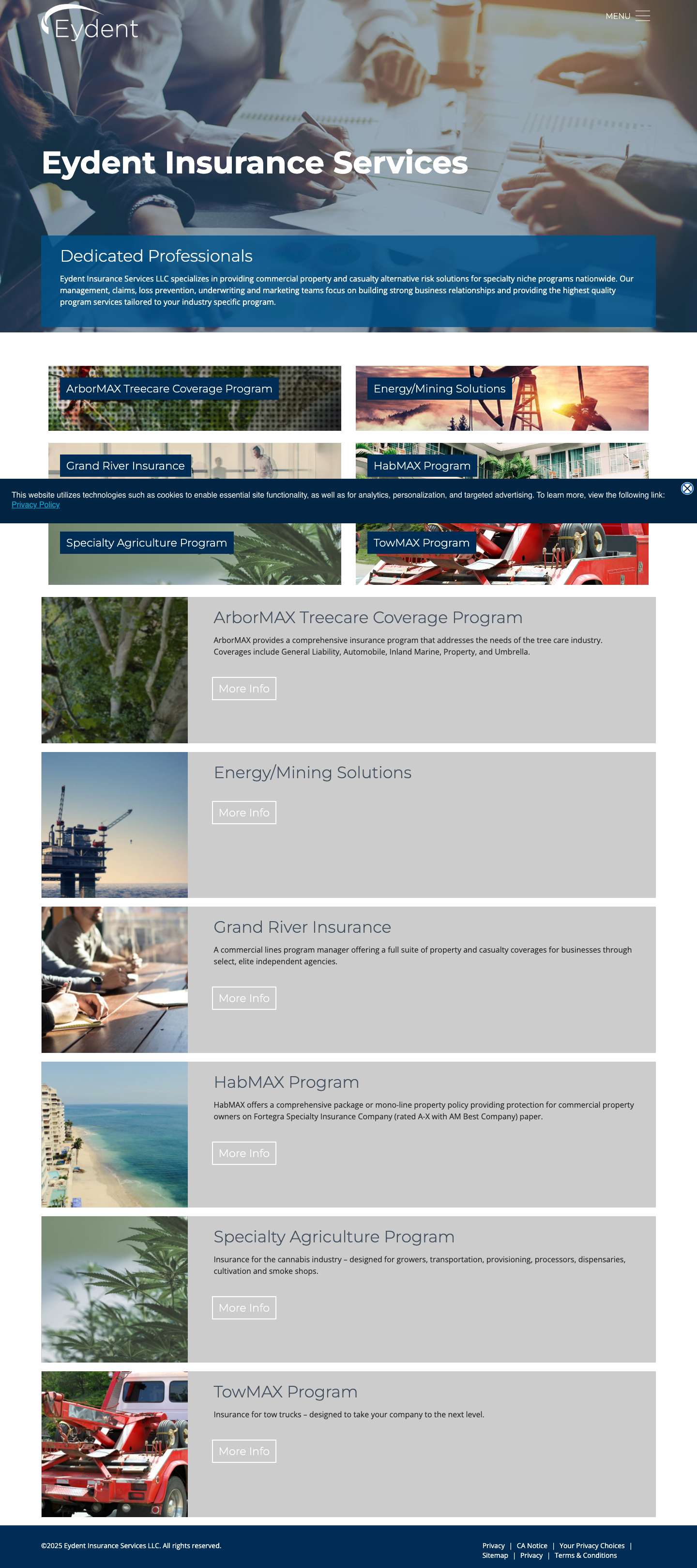 Eydent Insurance Services - Eydent - Full Screenshot
