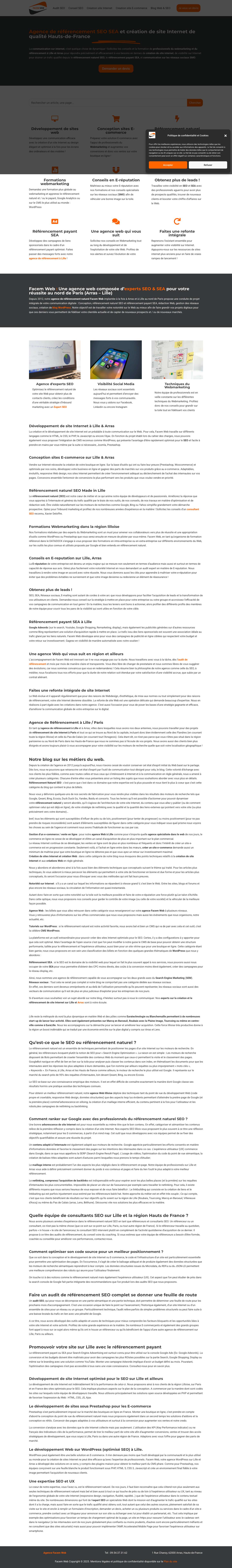 Agence Web SEO Arras Lille : référencement naturel & payant → Facem Web - Full Screenshot