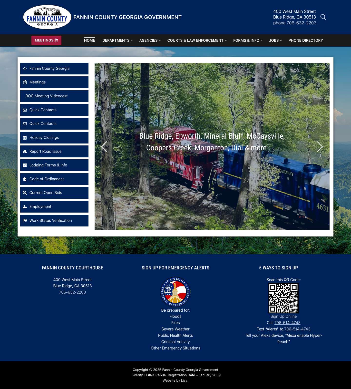 Home - Fannin County Georgia - Full Screenshot