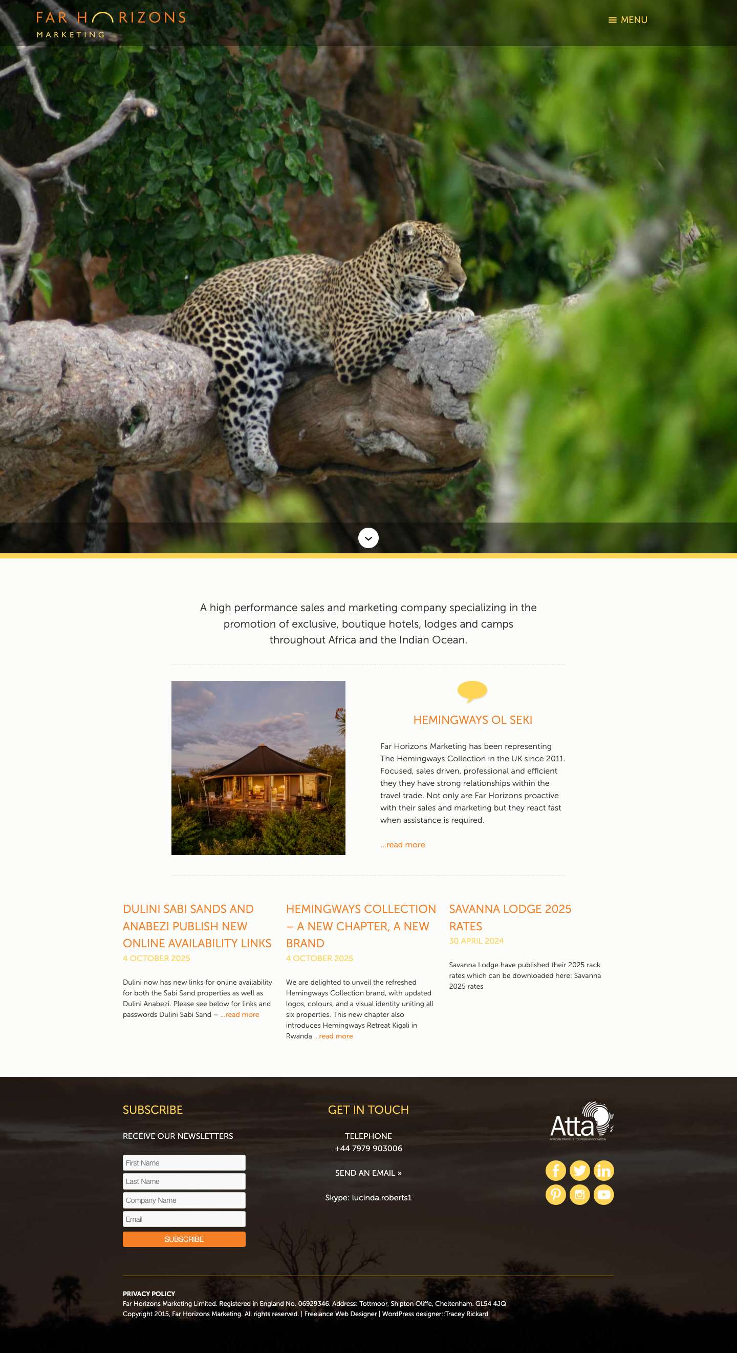 Home - Far Horizons Marketing - Full Screenshot