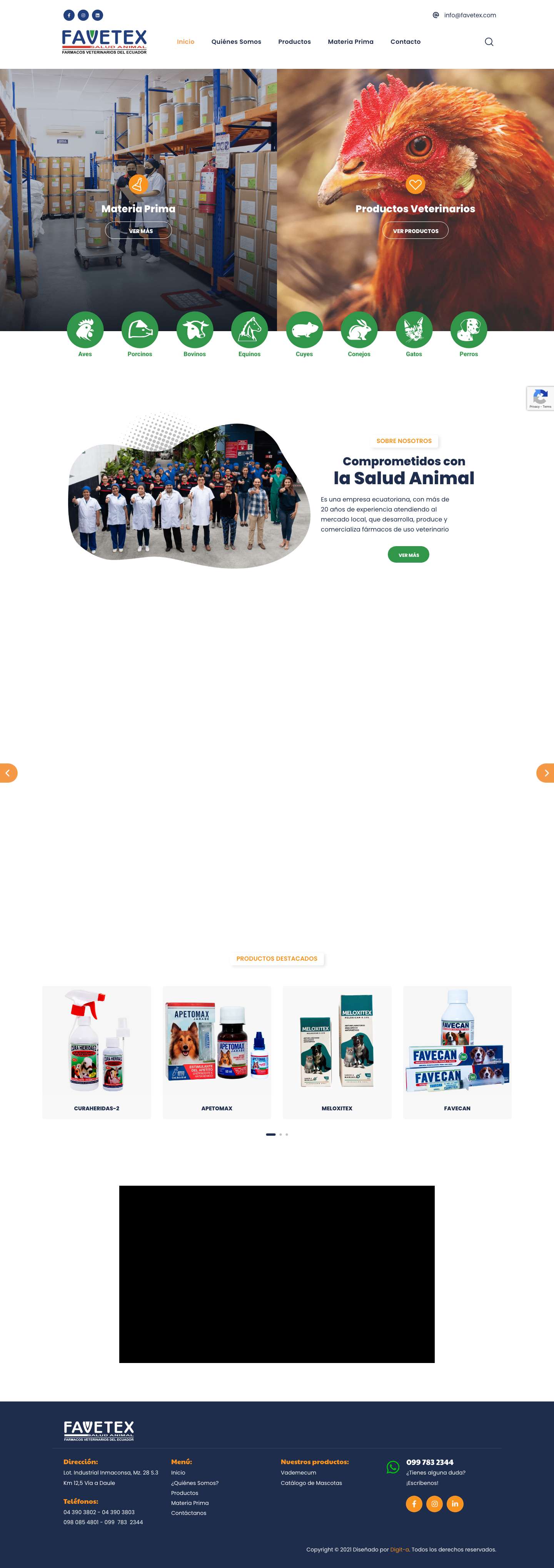 Inicio - Favetex - Full Screenshot
