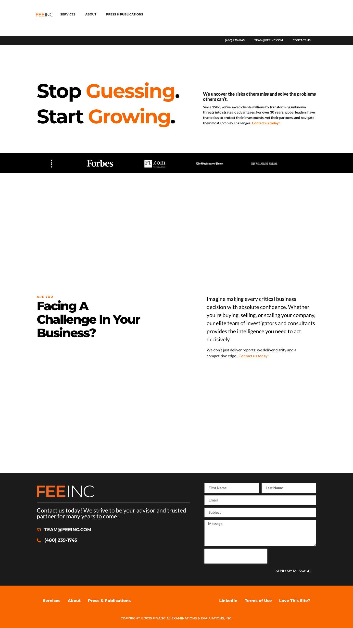 Home - Financial Examinations & Evaluations Inc - Full Screenshot