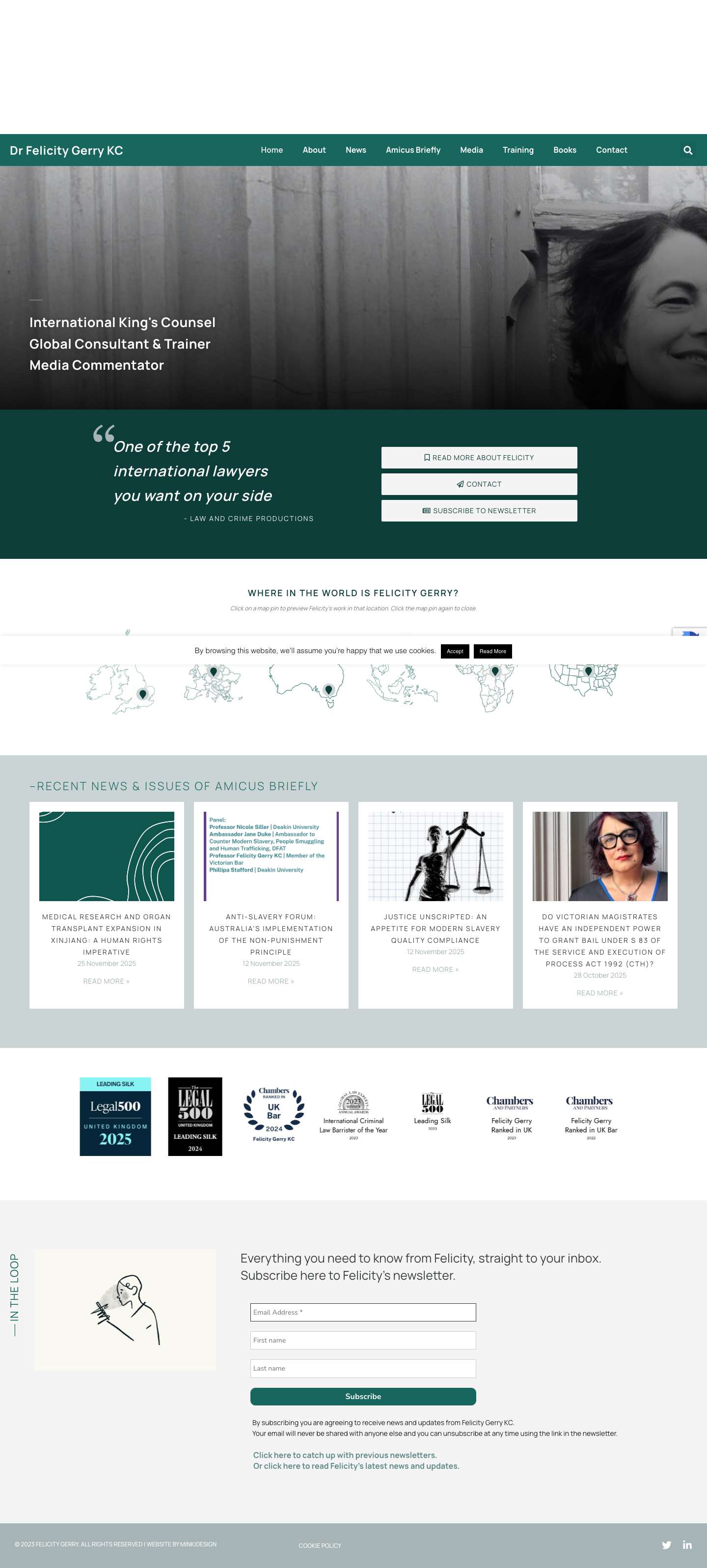 FELICITY GERRY KC: Barrister, Media Commentator, Consultant - Full Screenshot