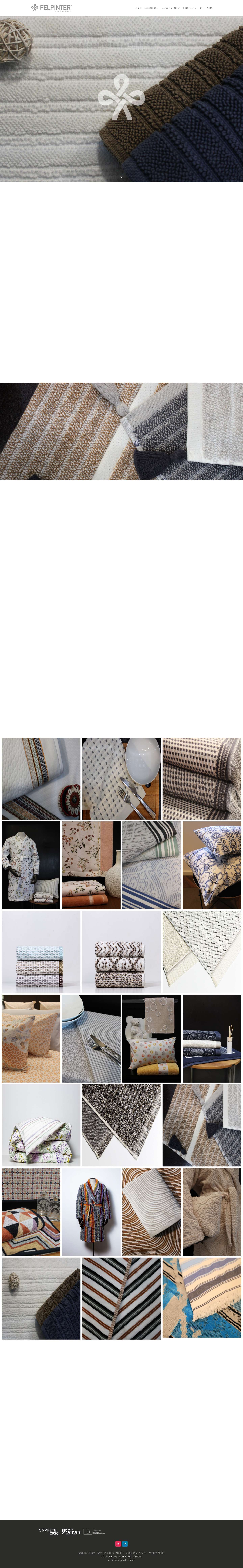 FELPINTER - Textile Industries - Full Screenshot