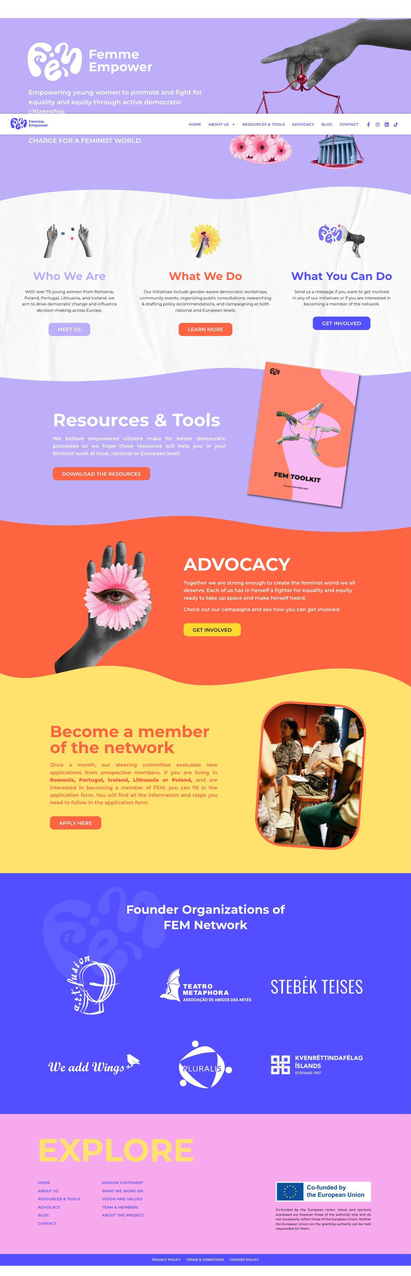 FEM Network - Full Screenshot