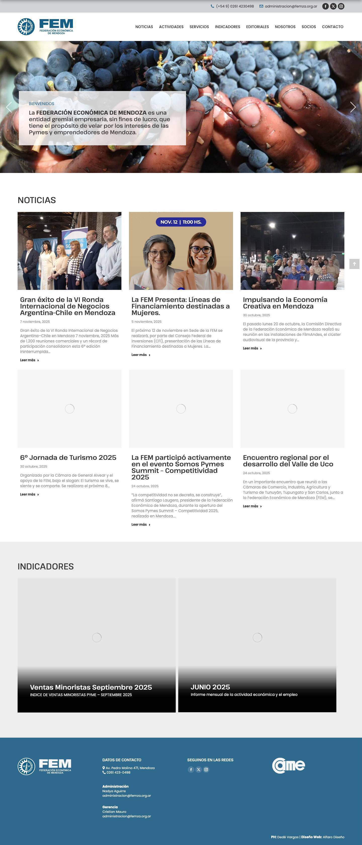FEM | Federación Económica de Mendoza - Full Screenshot