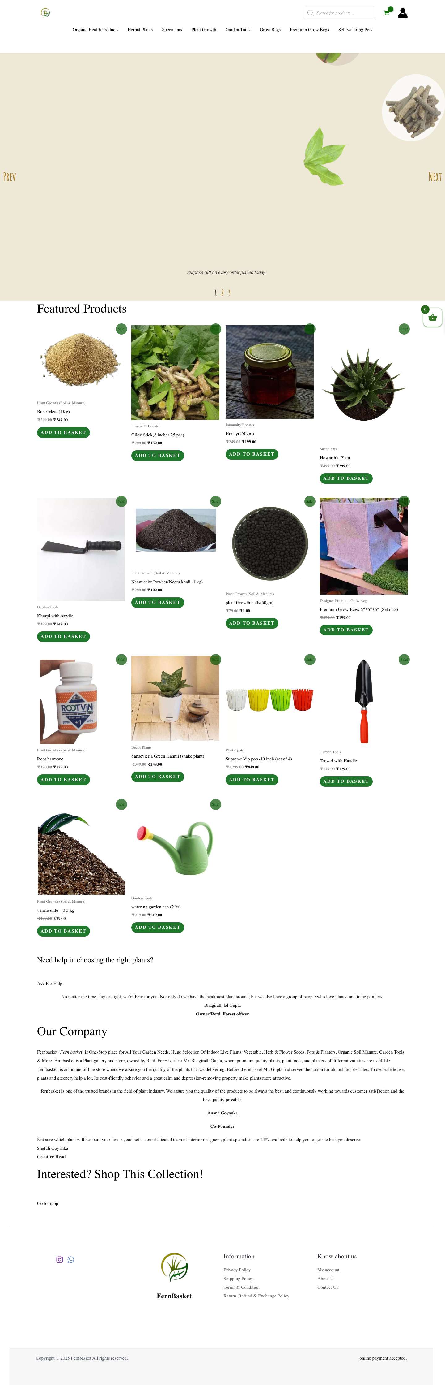 Fernbasket -The plant Gallery - Full Screenshot