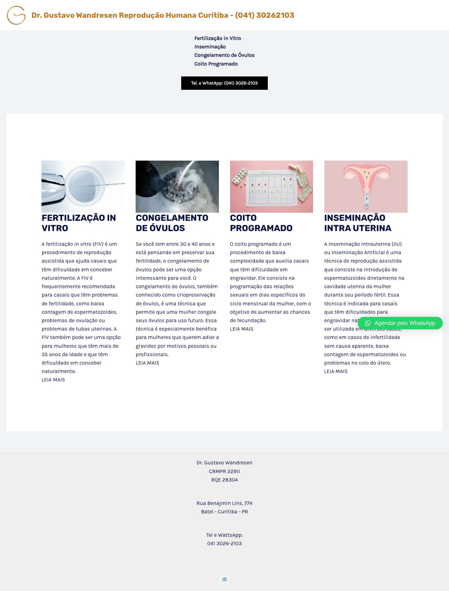 Fertilização in Vitro em Curitiba - Full Screenshot