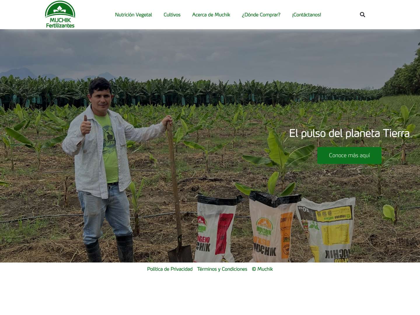 Fertilizantes Muchik – Fertilizantes, programas nutricionales y tecnologías agrícolas que incrementan rendimientos, optimizan calidad de cultivos y reducen el impacto ambiental. - Full Screenshot