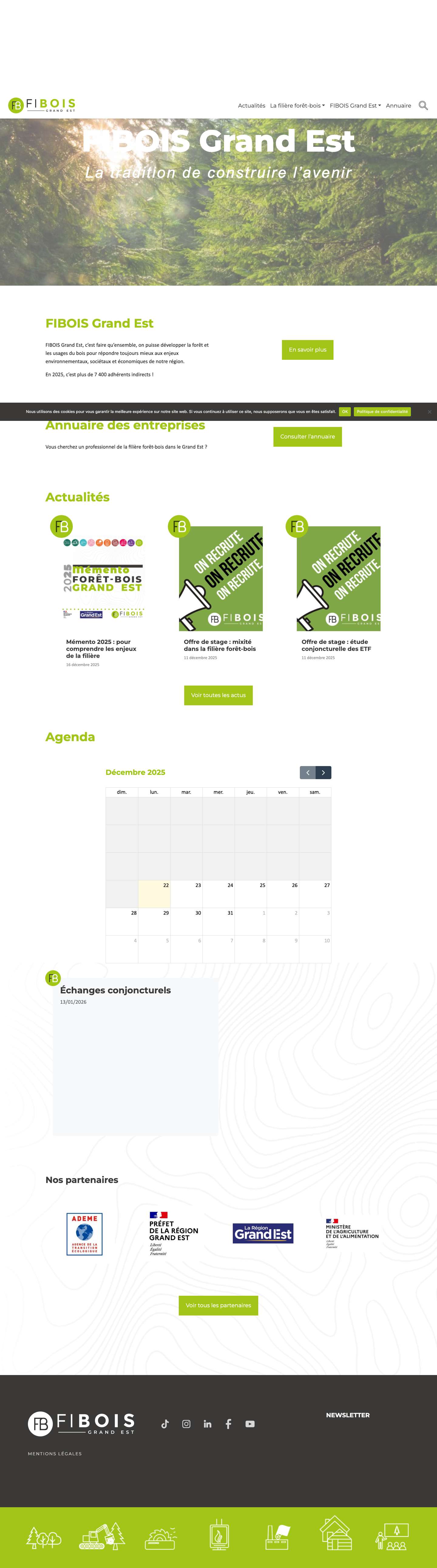 Fibois Grand Est - Accueil - Full Screenshot