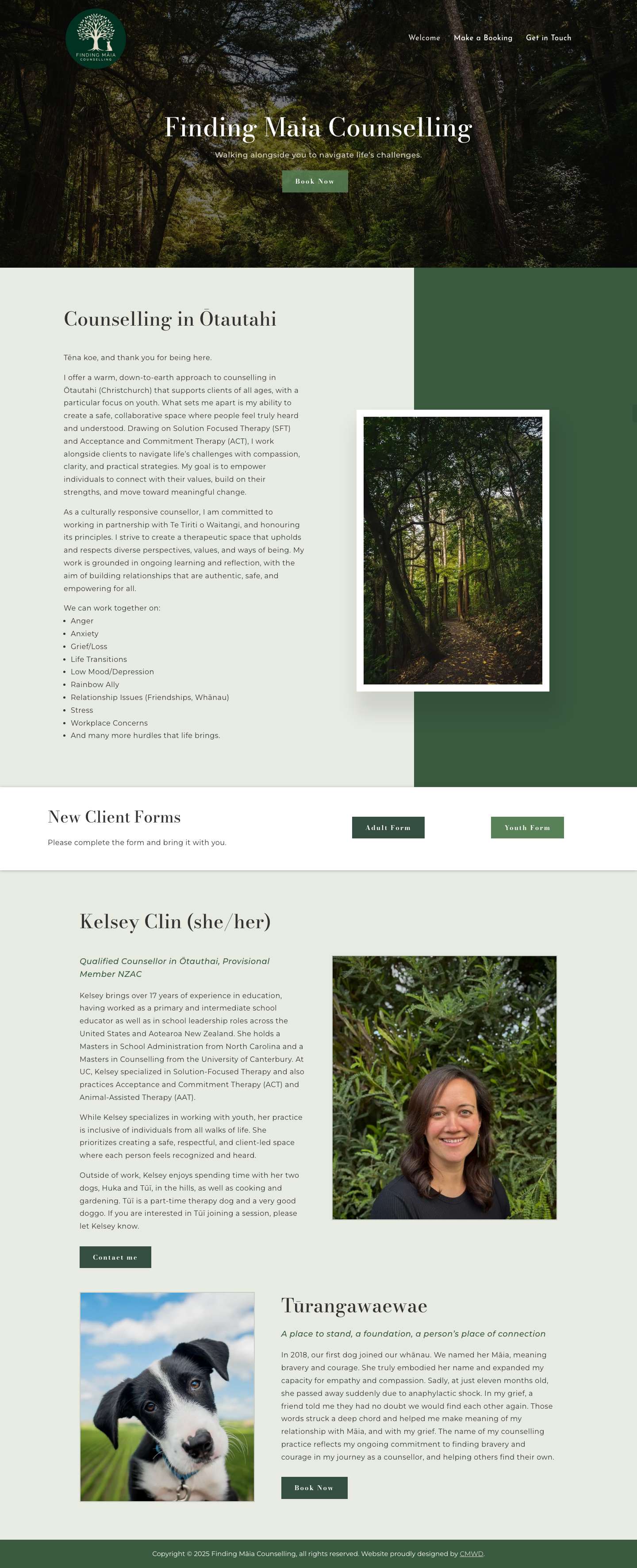 Counselling in Ōtautahi | Youth Counselling in Christchurch - Full Screenshot