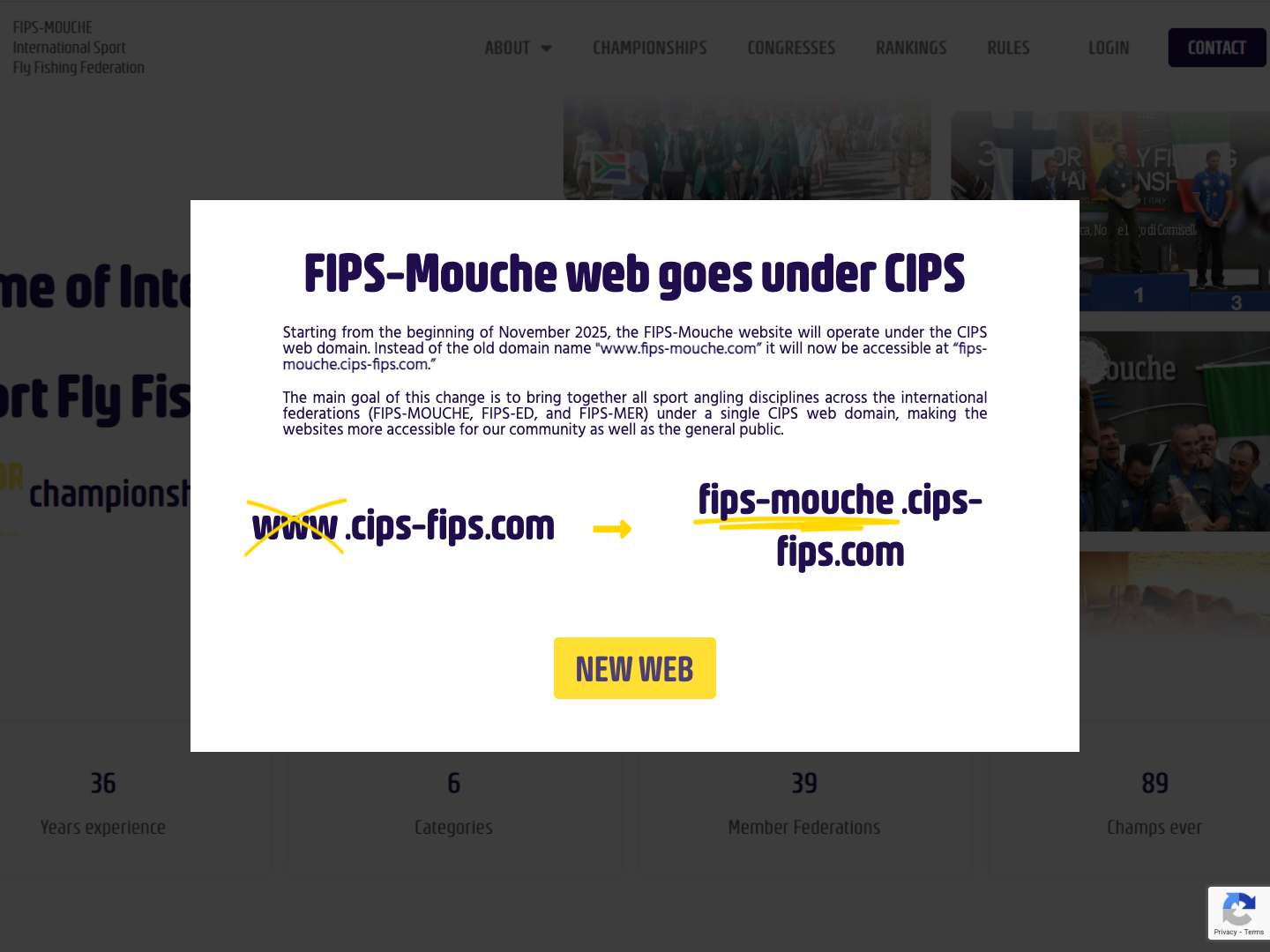 FIPS-Mouche website - Home-new - - Full Screenshot