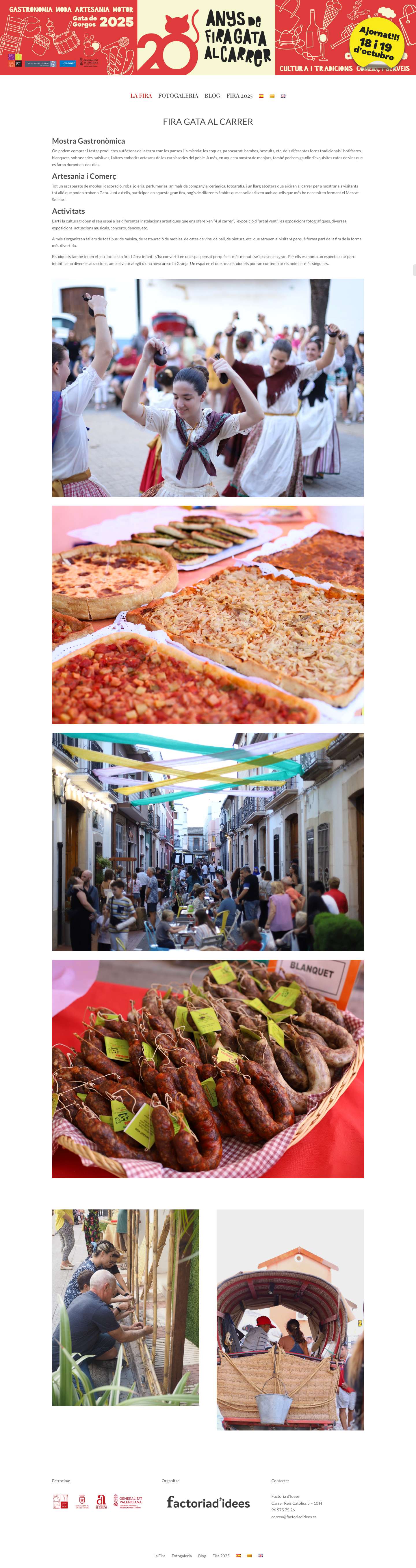 firagataalcarrer.com - Full Screenshot