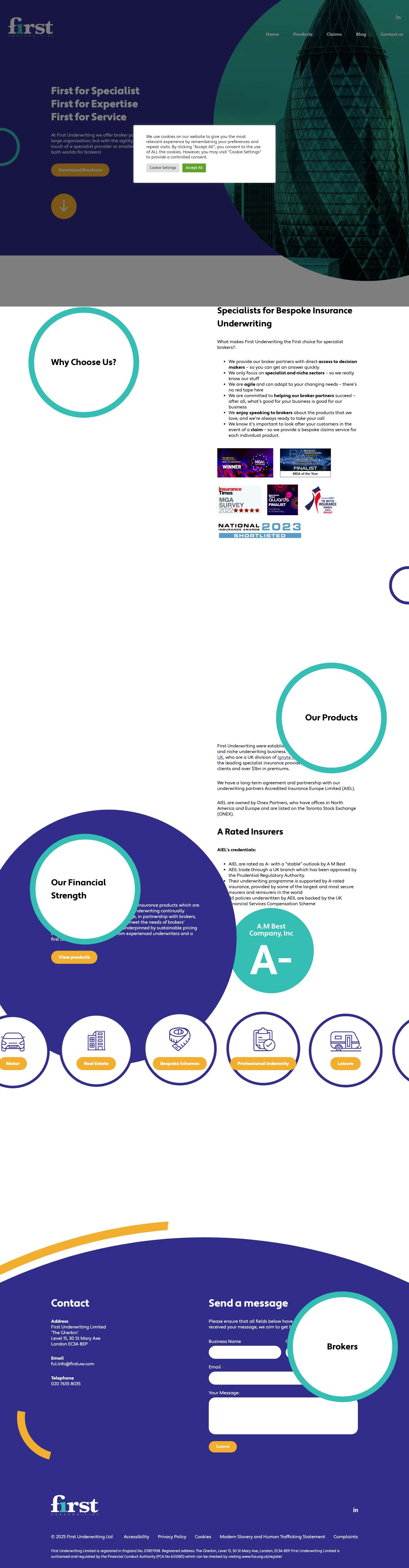 First Underwriting Ltd • First for Specialist, Expertise and Service - Full Screenshot