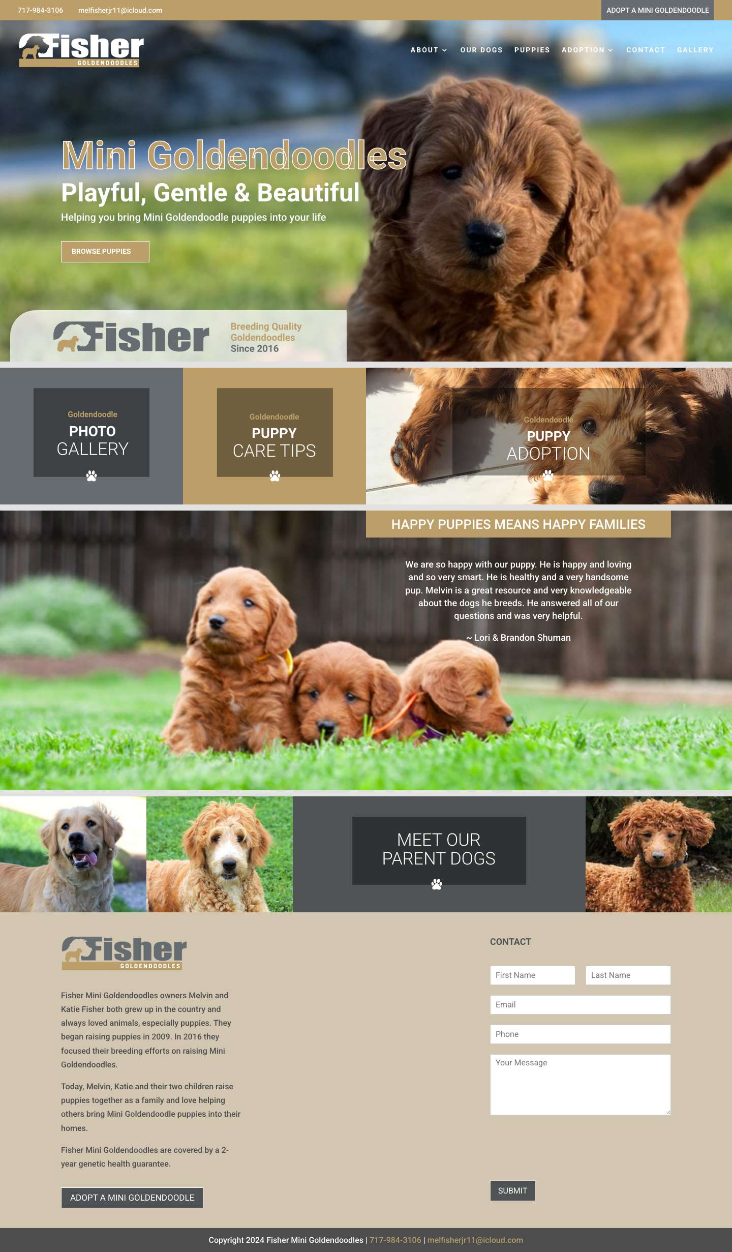 Goldendoodle Puppies | Fisher Goldendoodles - Paradise, PA - Full Screenshot
