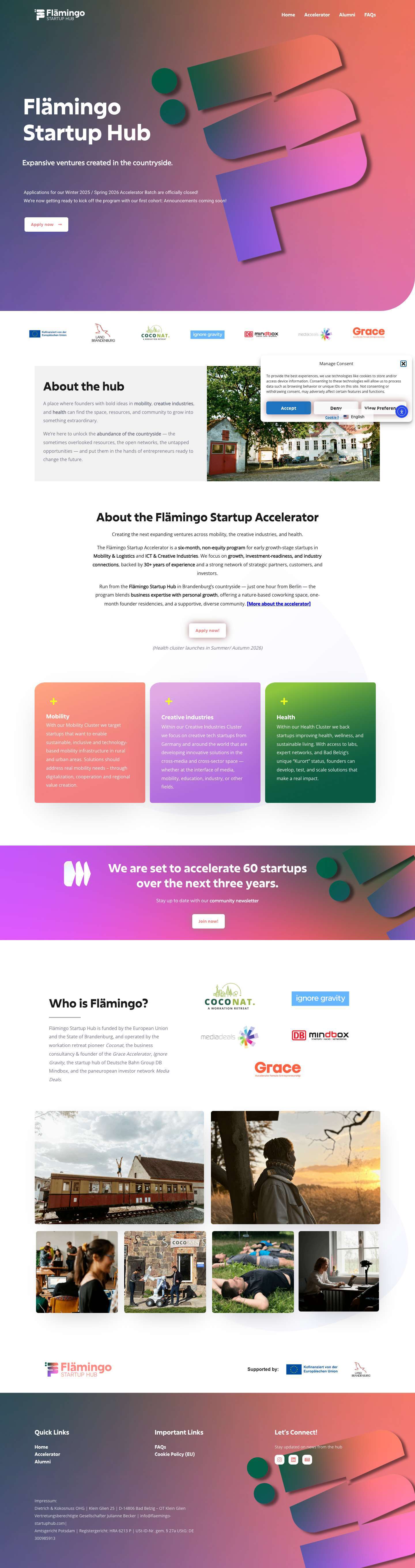Home - flaemingo-startuphub.com - Full Screenshot