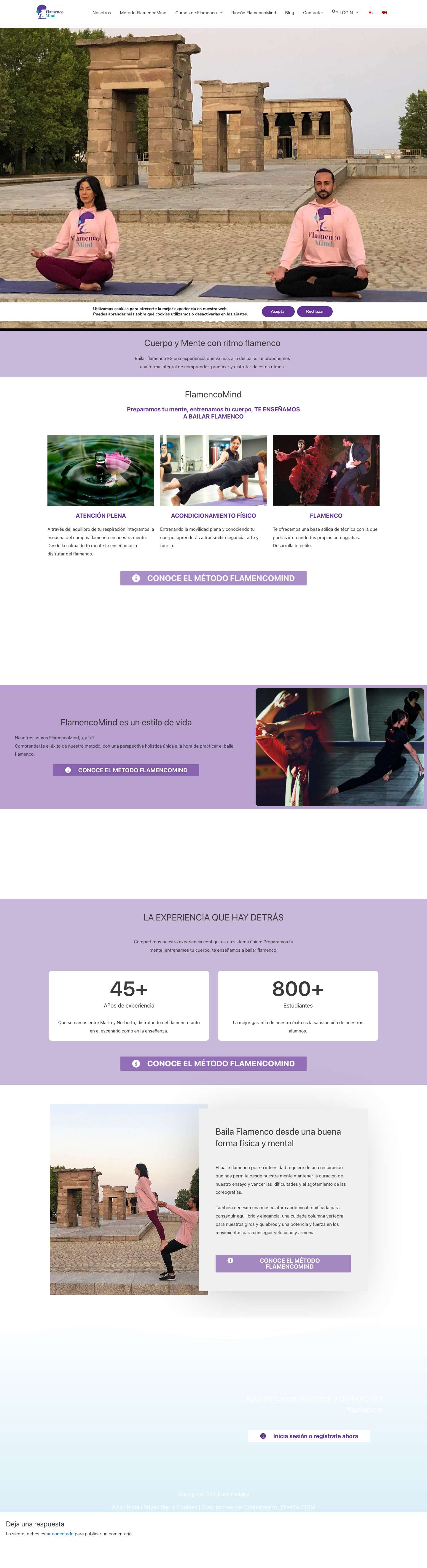 Inicio - FlamencoMind - Full Screenshot