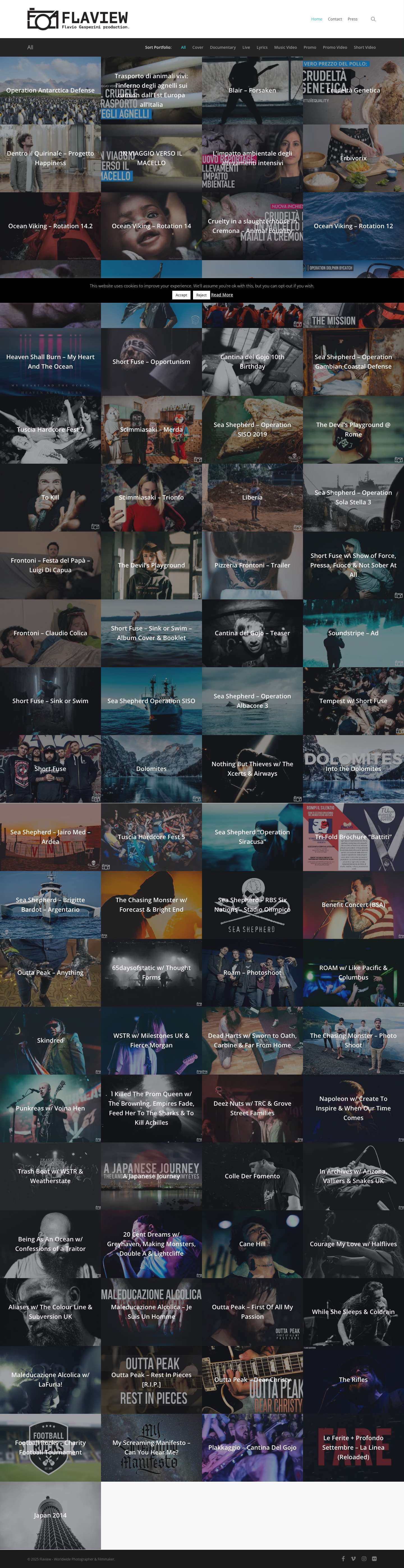 Flaview - Worldwide Photographer and Filmmaker - Full Screenshot