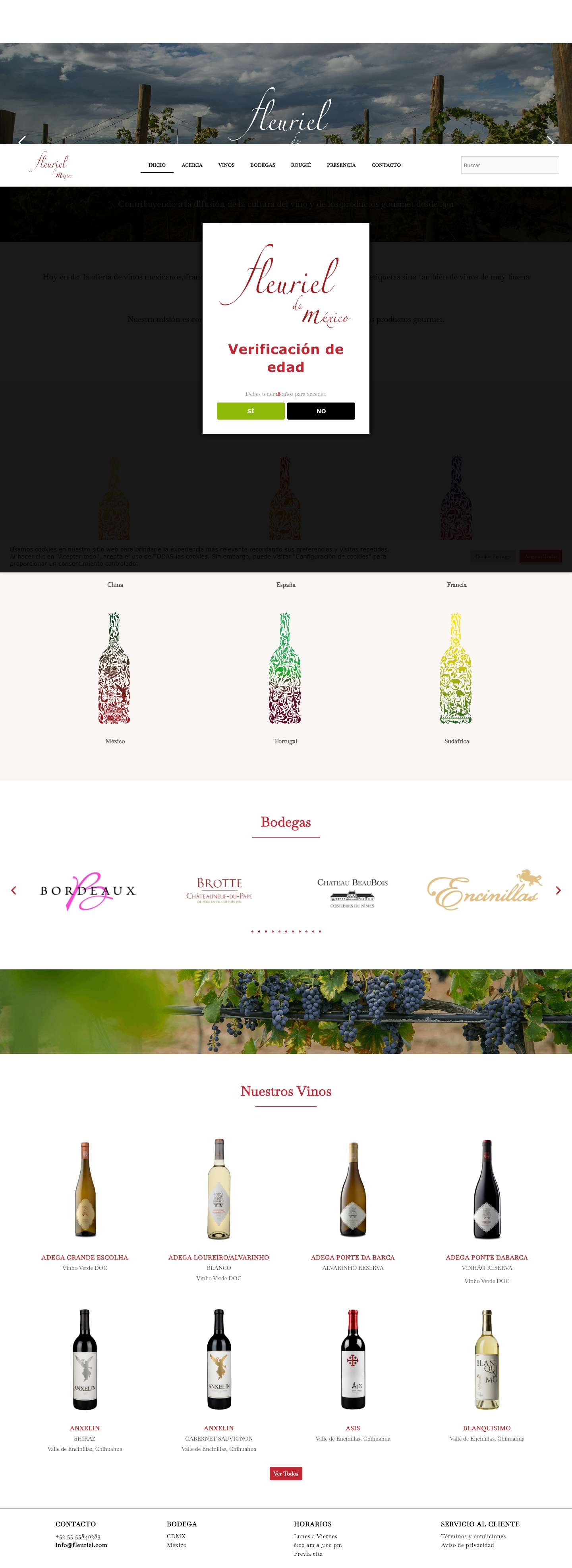 home - Fleuriel De México - Full Screenshot