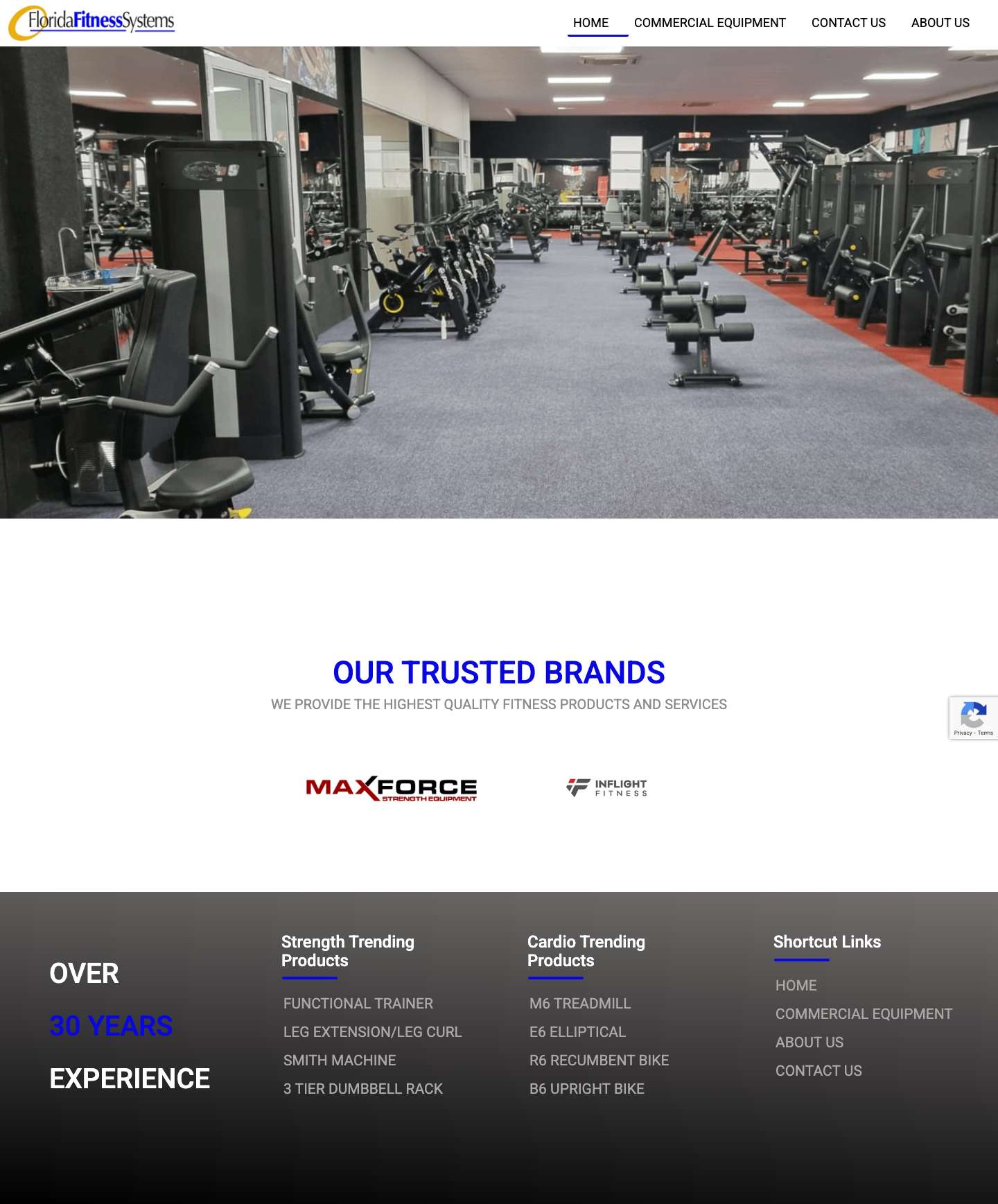 Florida Fitness Sytems-Florida's Fitness Equipment SupplierFlorida Fitness Sytems – Florida's Fitness Equipment Supplier - Full Screenshot