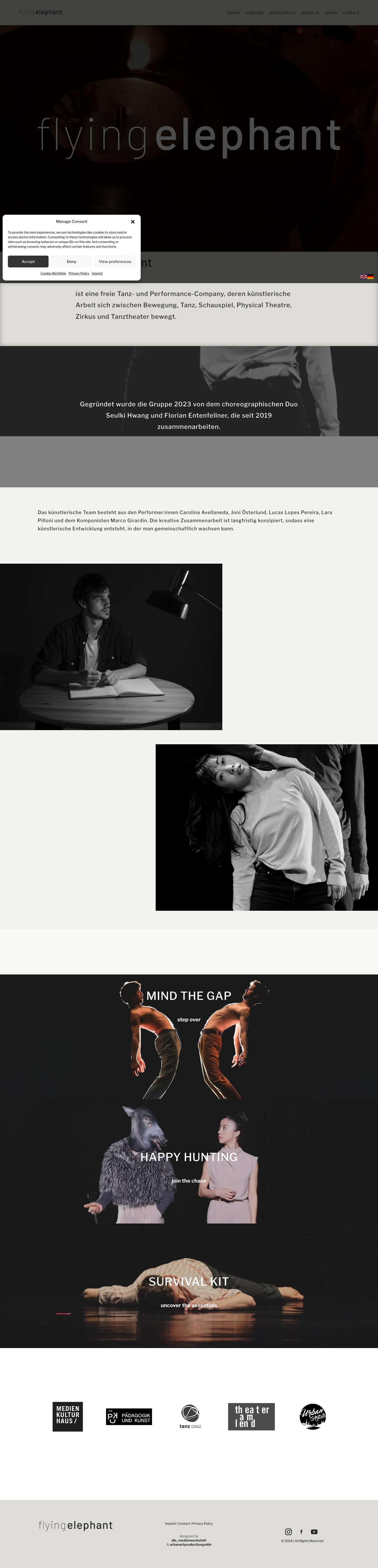 Flying Elephant Company Dance & Physical Theatre - Full Screenshot