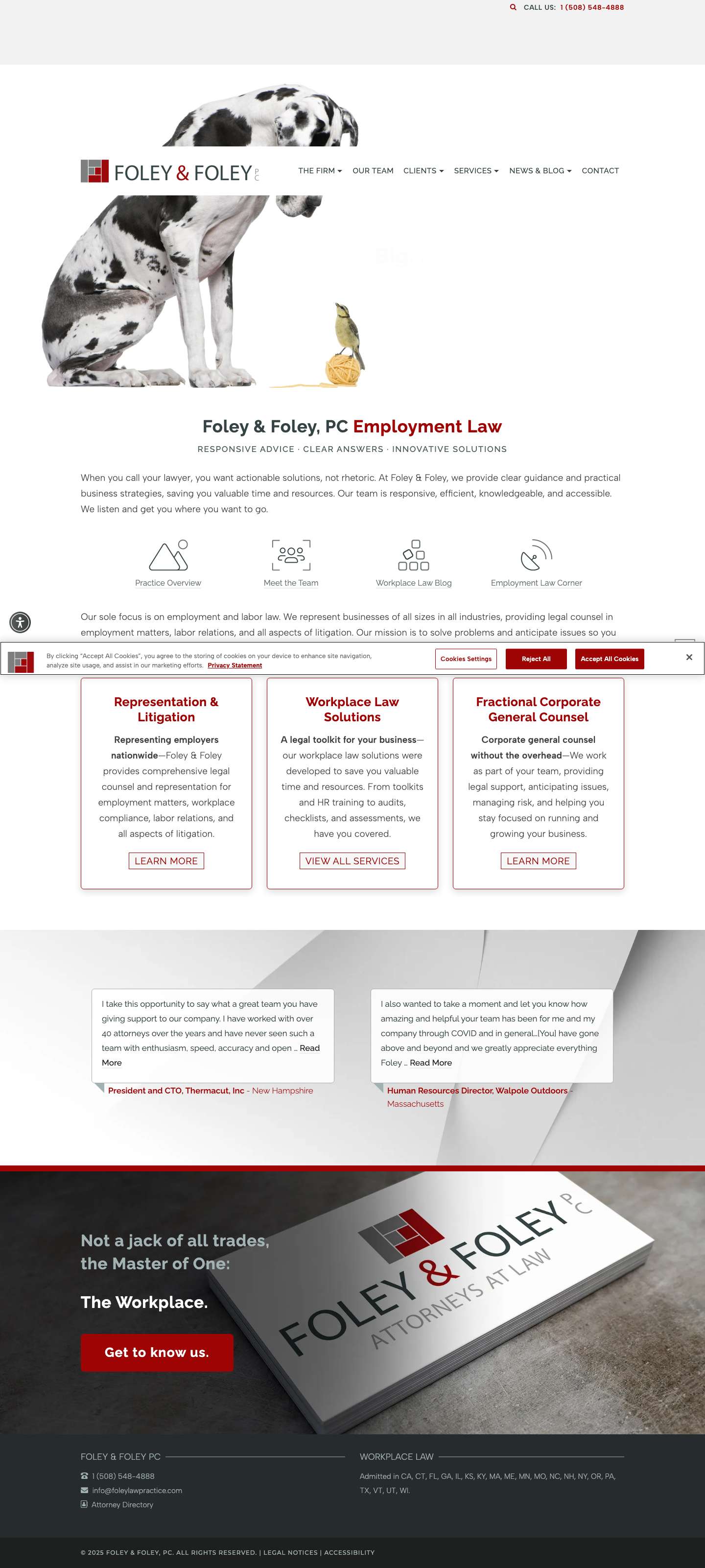 Foley & Foley PC - Foley & Foley, PC - Full Screenshot