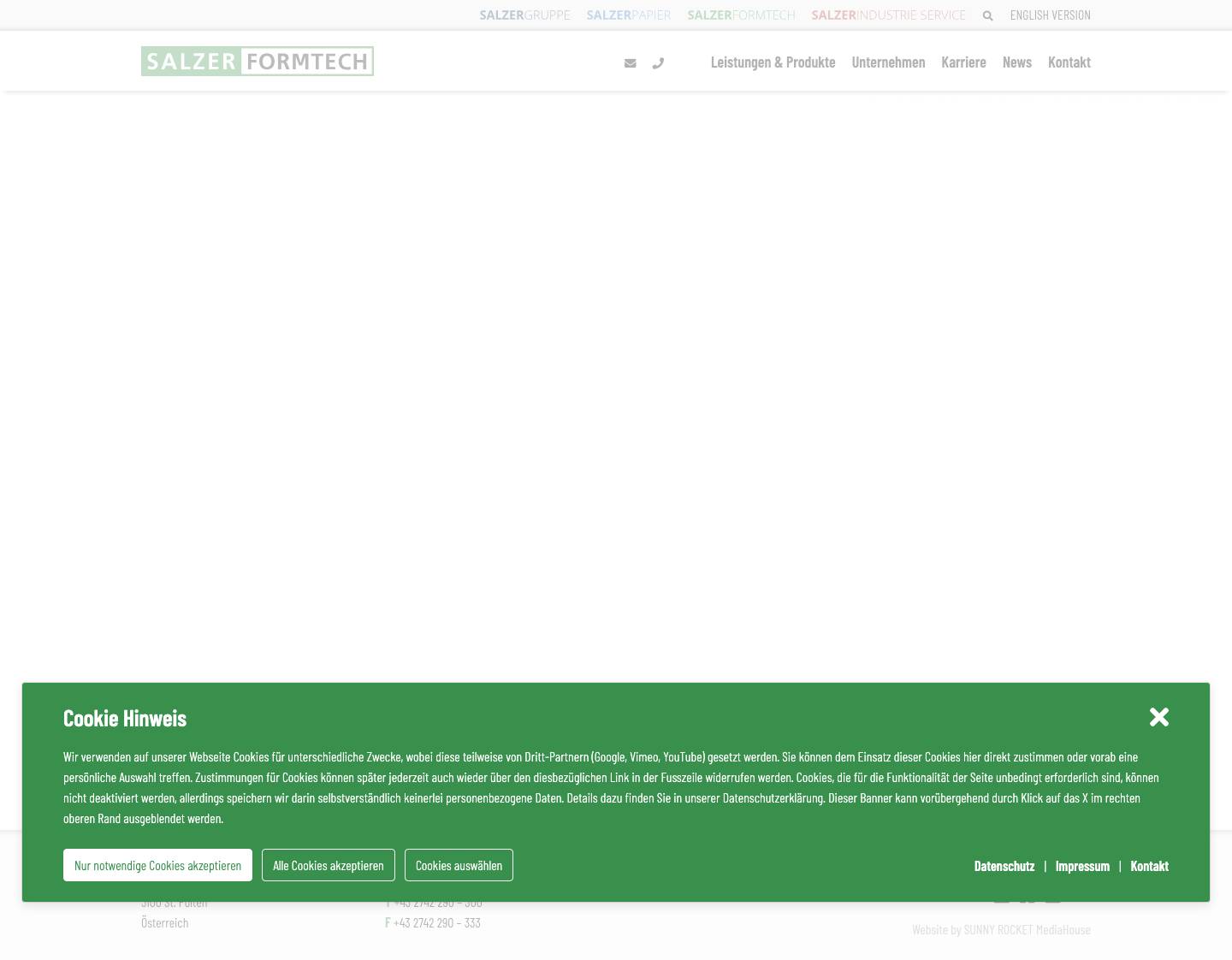 Salzer Formtech – Salzer - Full Screenshot