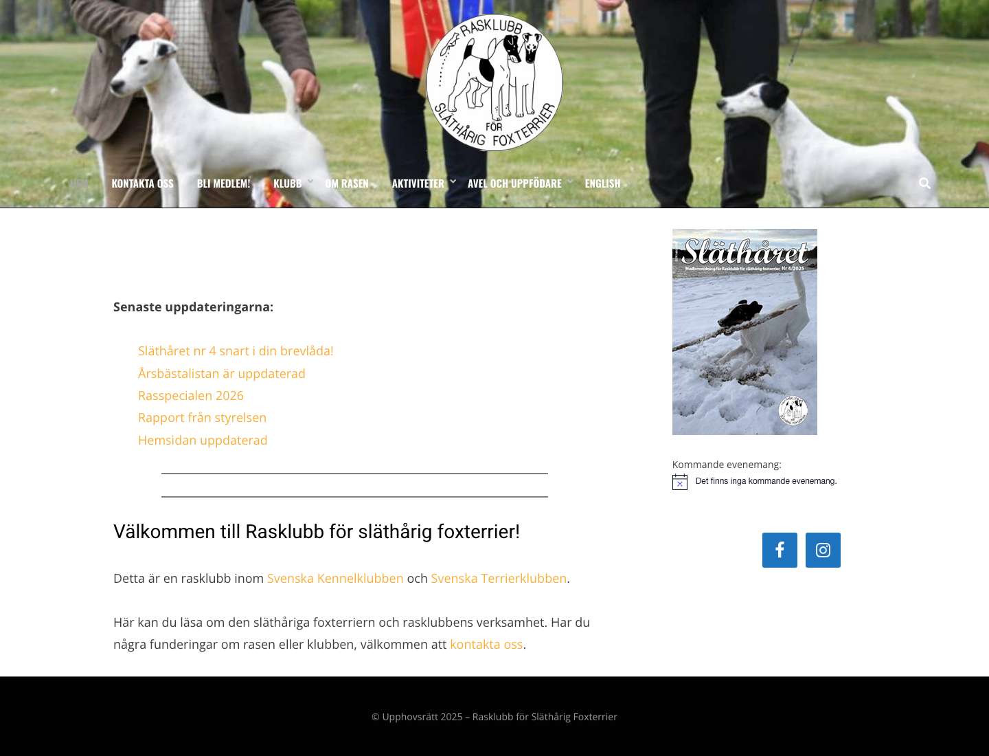 Rasklubb för Släthårig FoxterrierFacebookInstagram - Full Screenshot