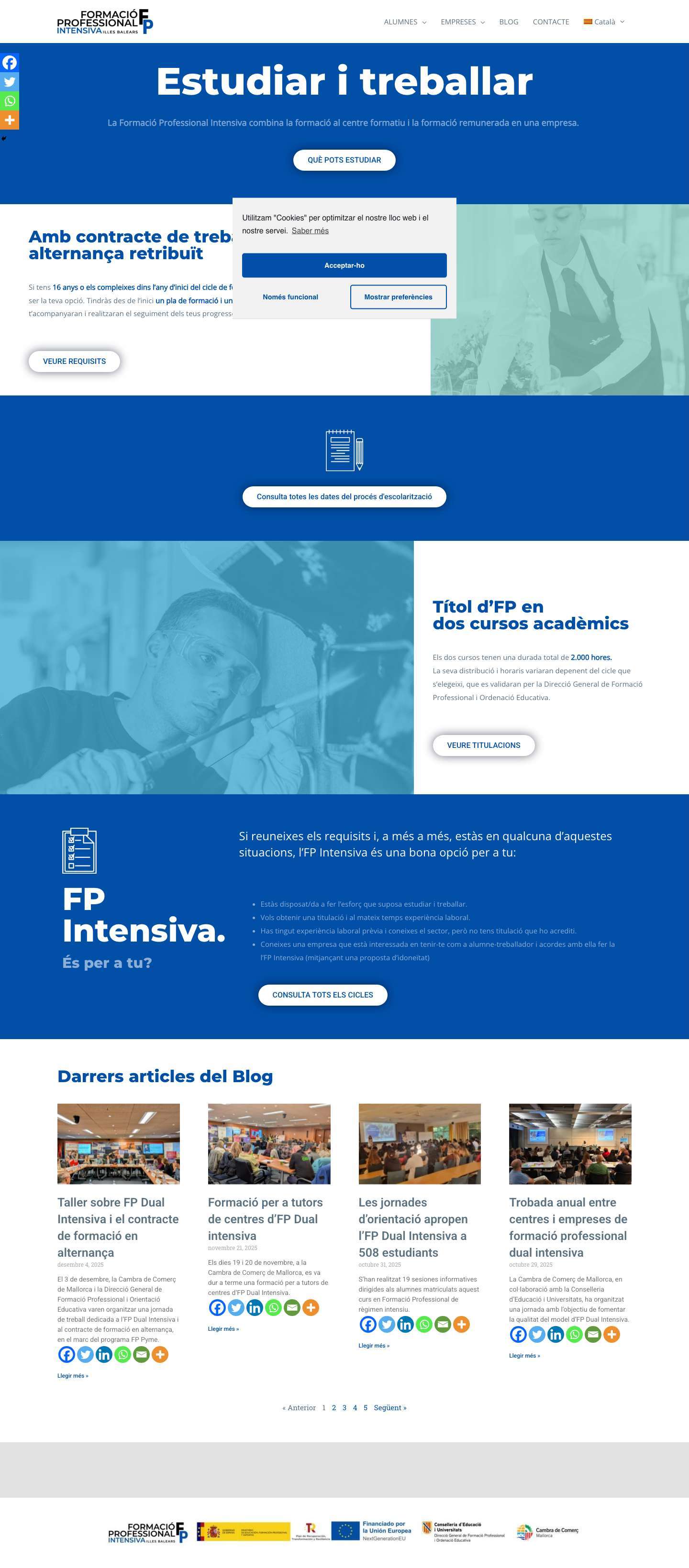 FP Intensiva Illes Balears | Formació Professional Intensiva a Mallorca - Full Screenshot