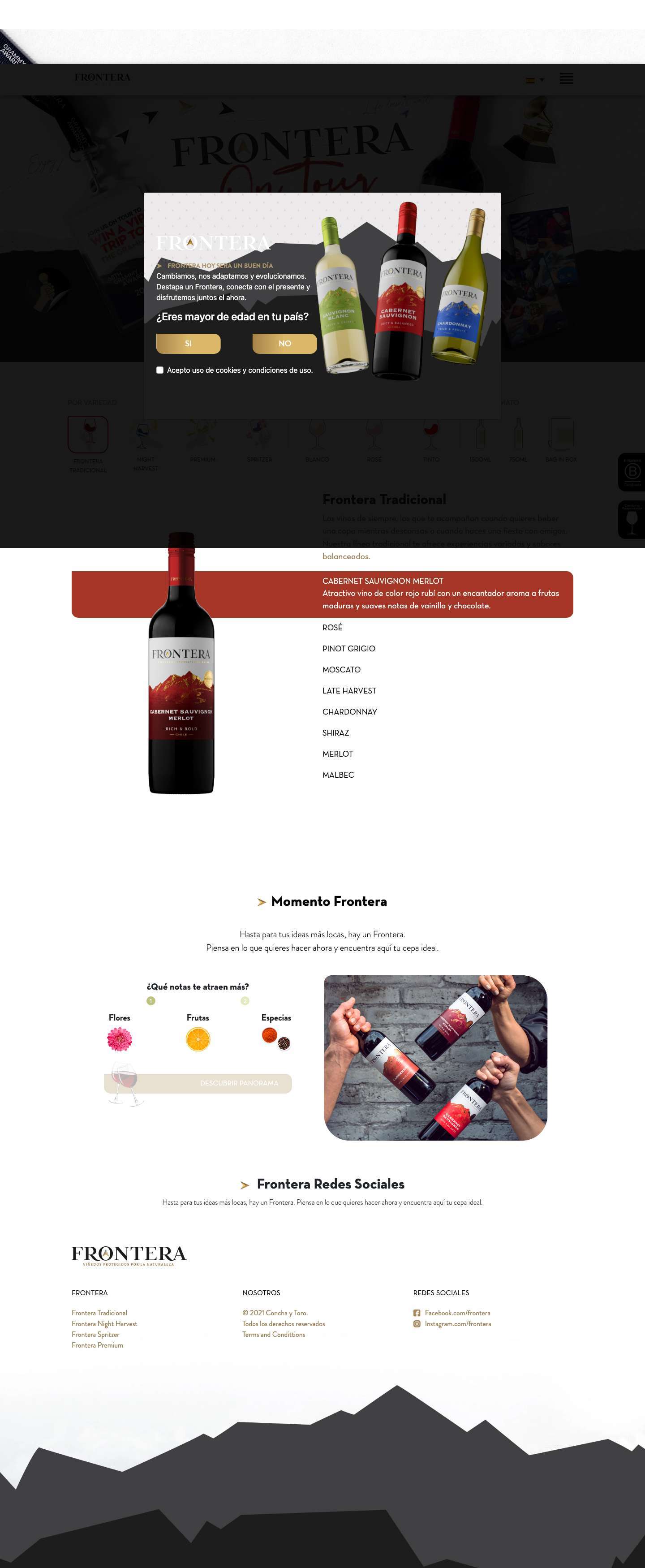 Frontera – Corporativo - Full Screenshot