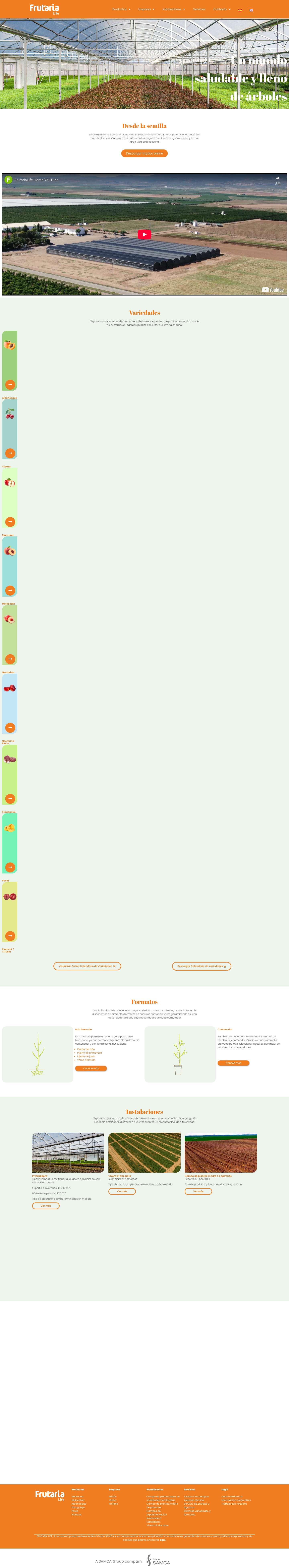 Frutaria Life – Un mundo saludable y lleno de árboles - Full Screenshot