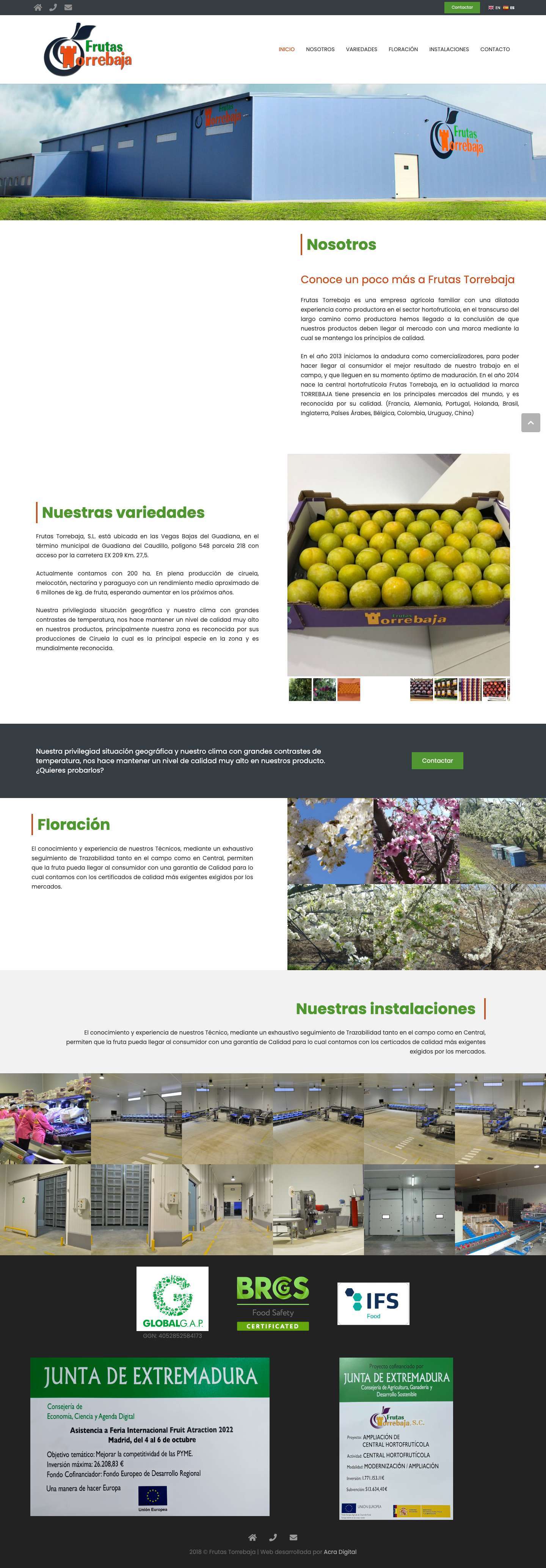 Frutas Torrebaja – Empresa agrícola familiar con una dilatada experiencia como productora en el sector hortofrutícola - Full Screenshot