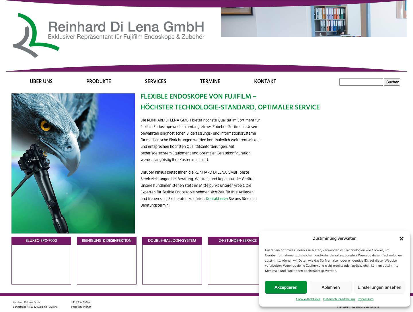 Hochwertigste Produkte, bester Service – flexible Endoskopie von Fujifilm | Reinhard Di Lena GmbH - Full Screenshot