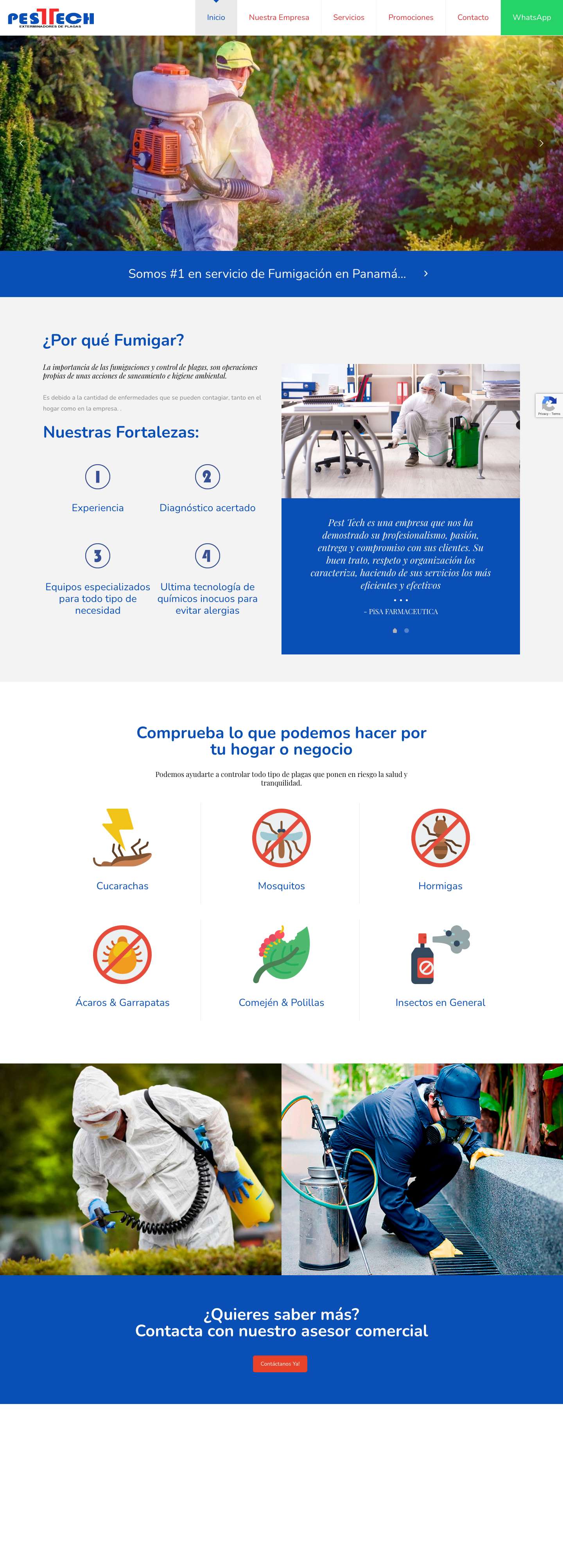 Fumigadora Pest Tech Panamá | Exterminadores de Plagas - Full Screenshot