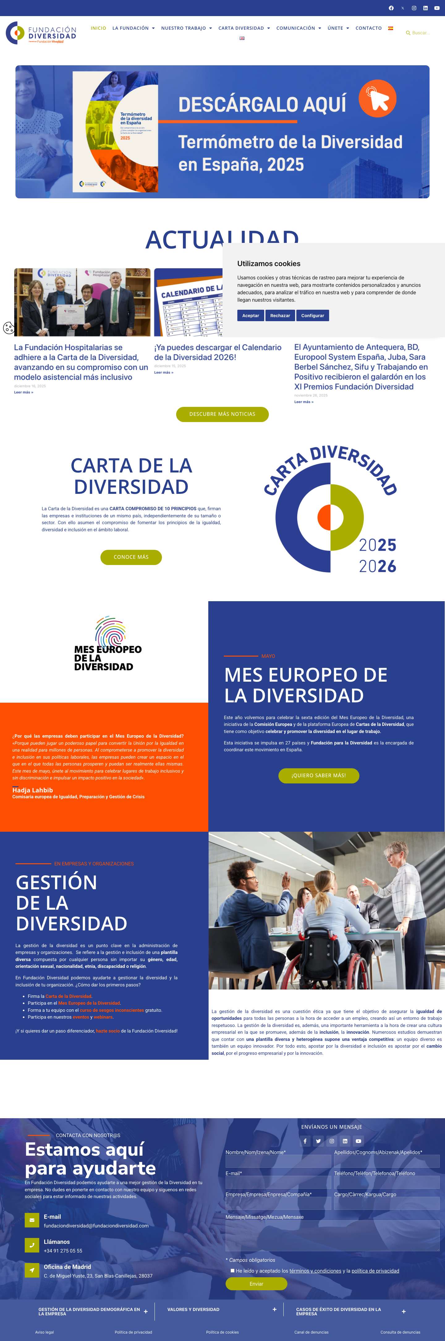 Fundación Diversidad | Gestión de la Diversidad en empresas y organizaciones - Full Screenshot