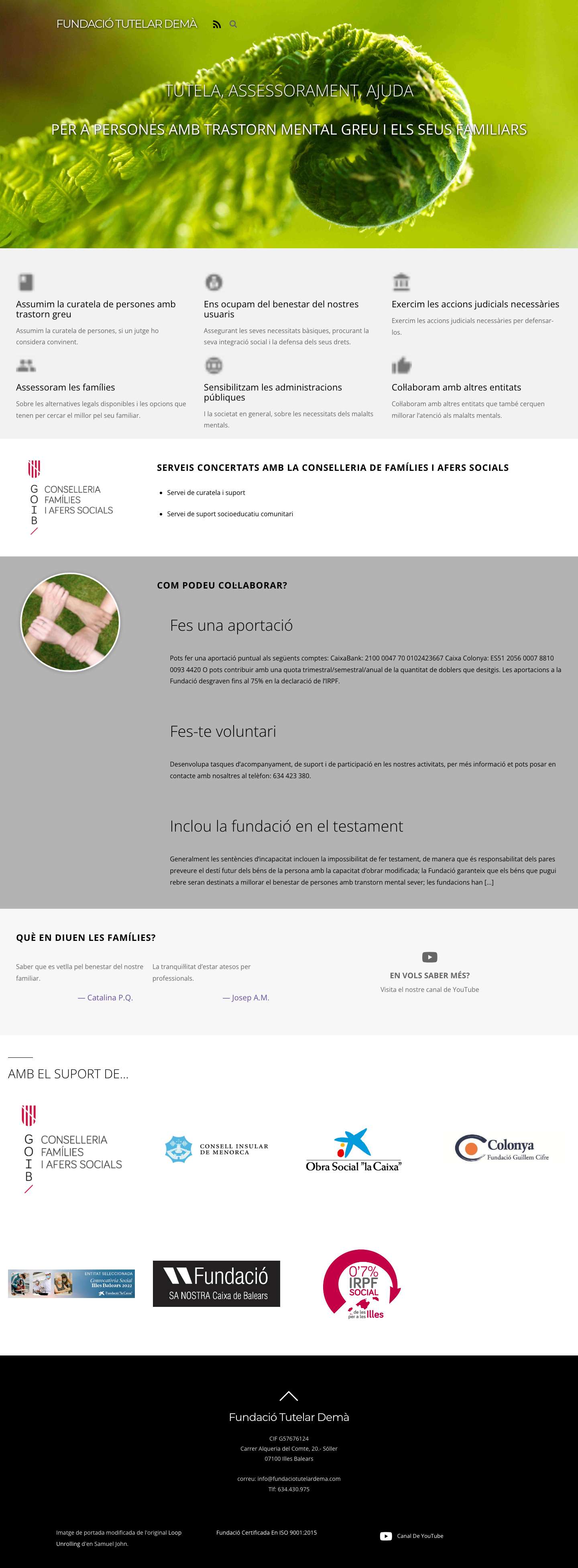 Fundació tutelar demà – Fundació Tutelar Demà, per a malalts mentals i els seus familiars - Full Screenshot