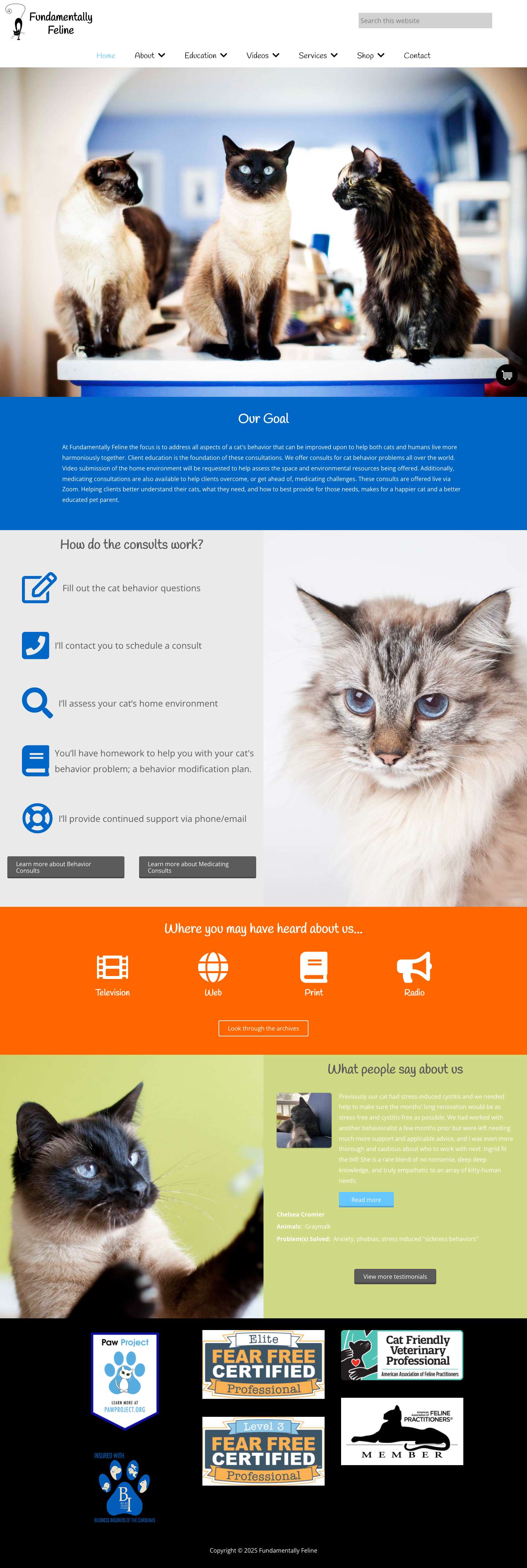 Home - Fundamentally Feline - Full Screenshot