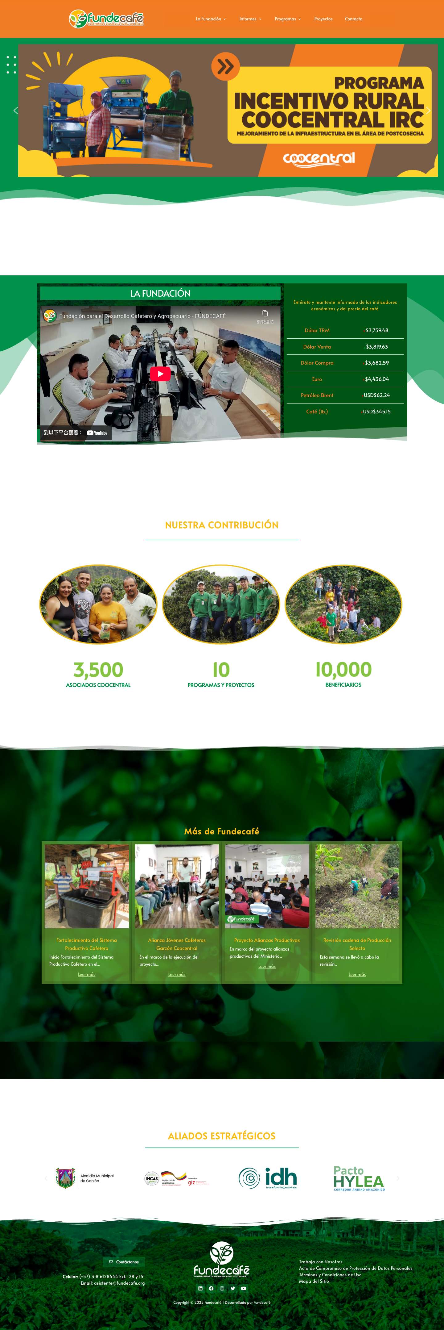 Fundecafé – Fundación para el Desarrollo Cafetero y Agropecuario - Full Screenshot
