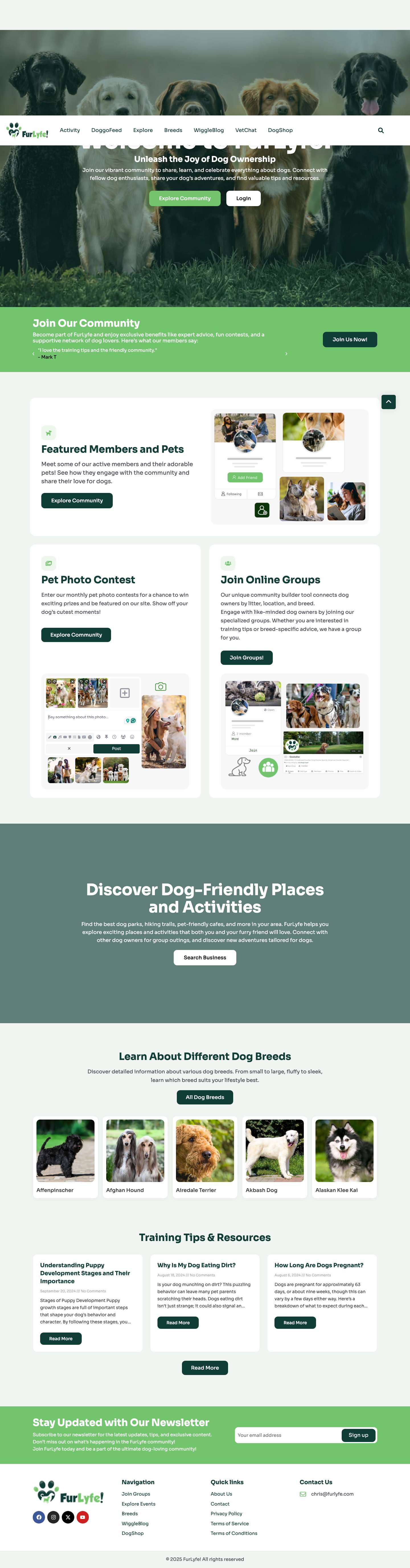 Home - FurLyfe! - Full Screenshot