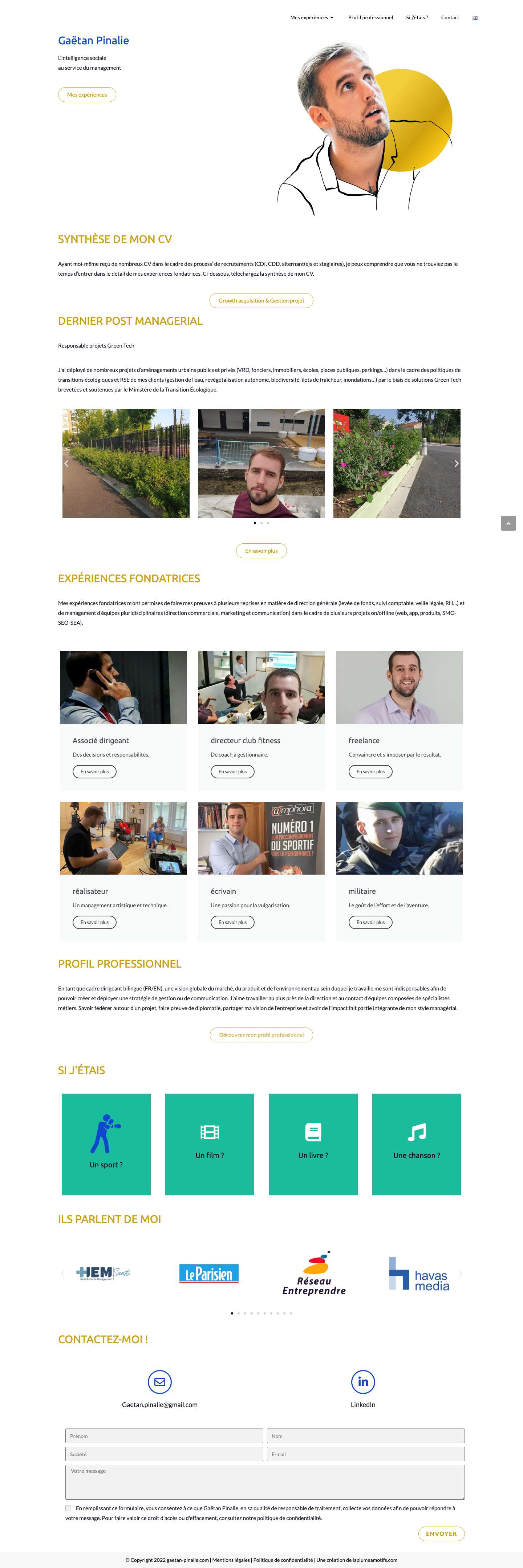 Gaëtan Pinalie - L’intelligence sociale au service du management - Full Screenshot