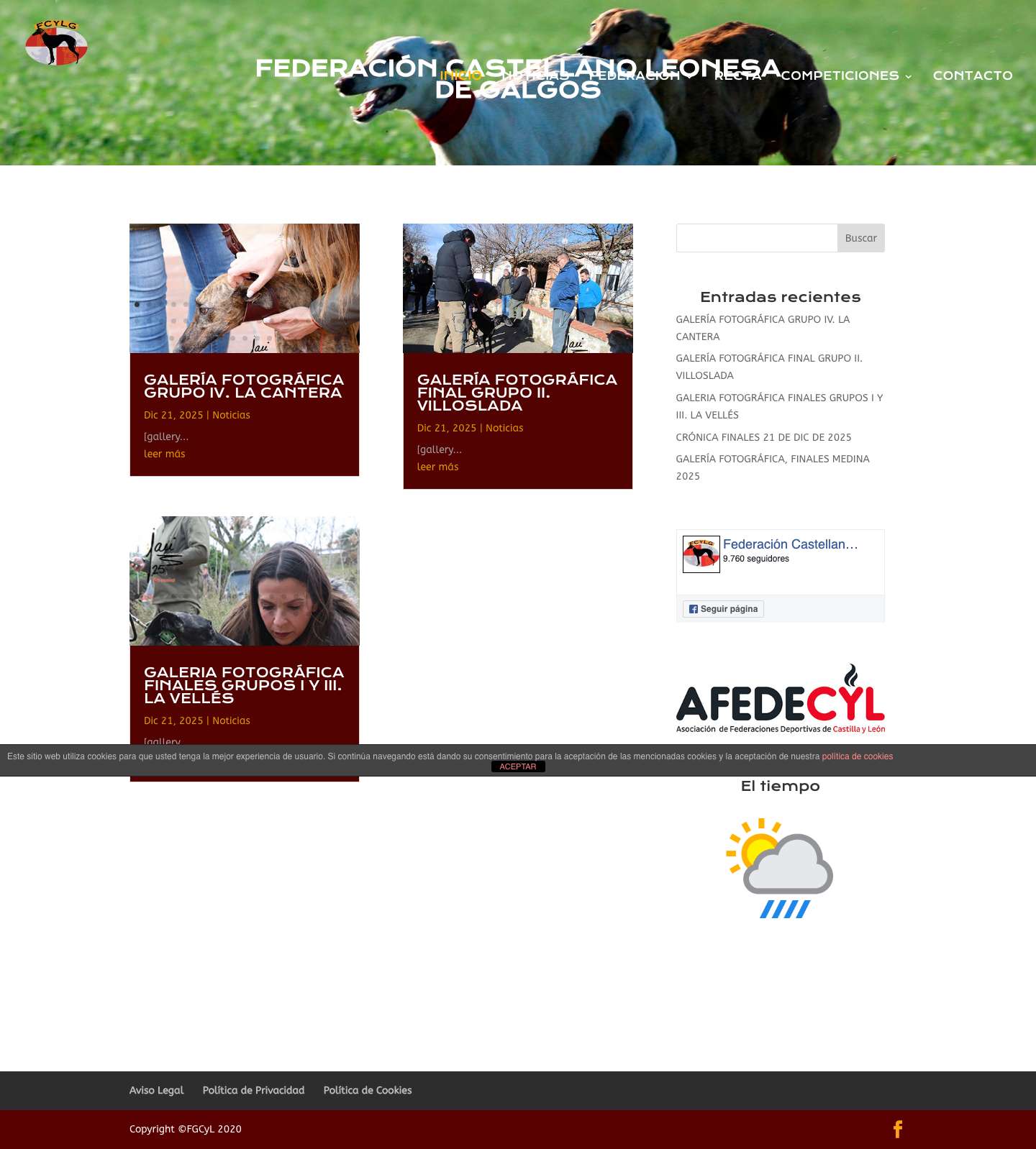 Federación Castellano Leonesa de Galgos | Federación Castellano Leonesa de Galgos. - Full Screenshot