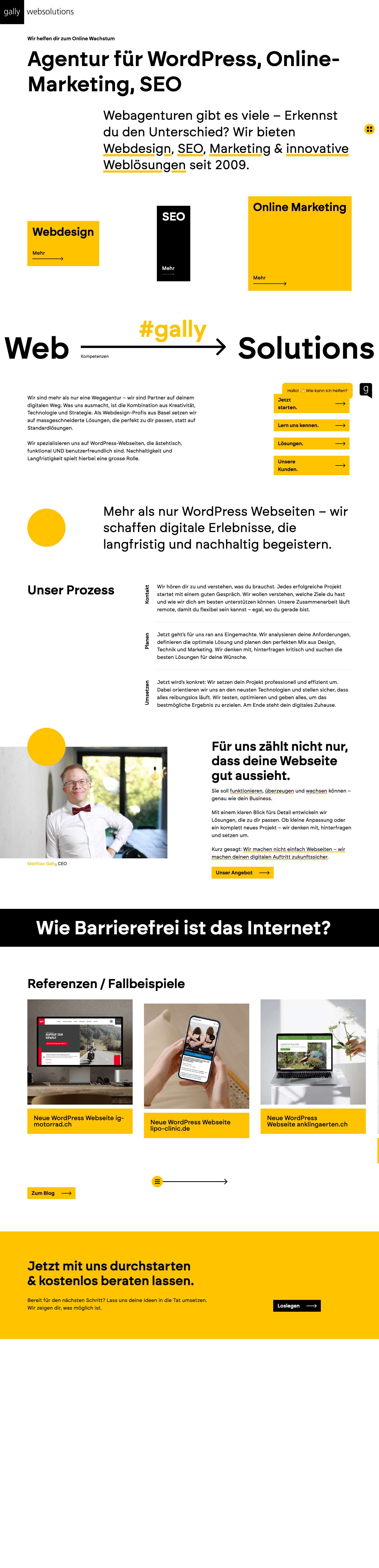 WordPress Agentur SEO Basel seit 2009, PHP Speziallösungen - Full Screenshot