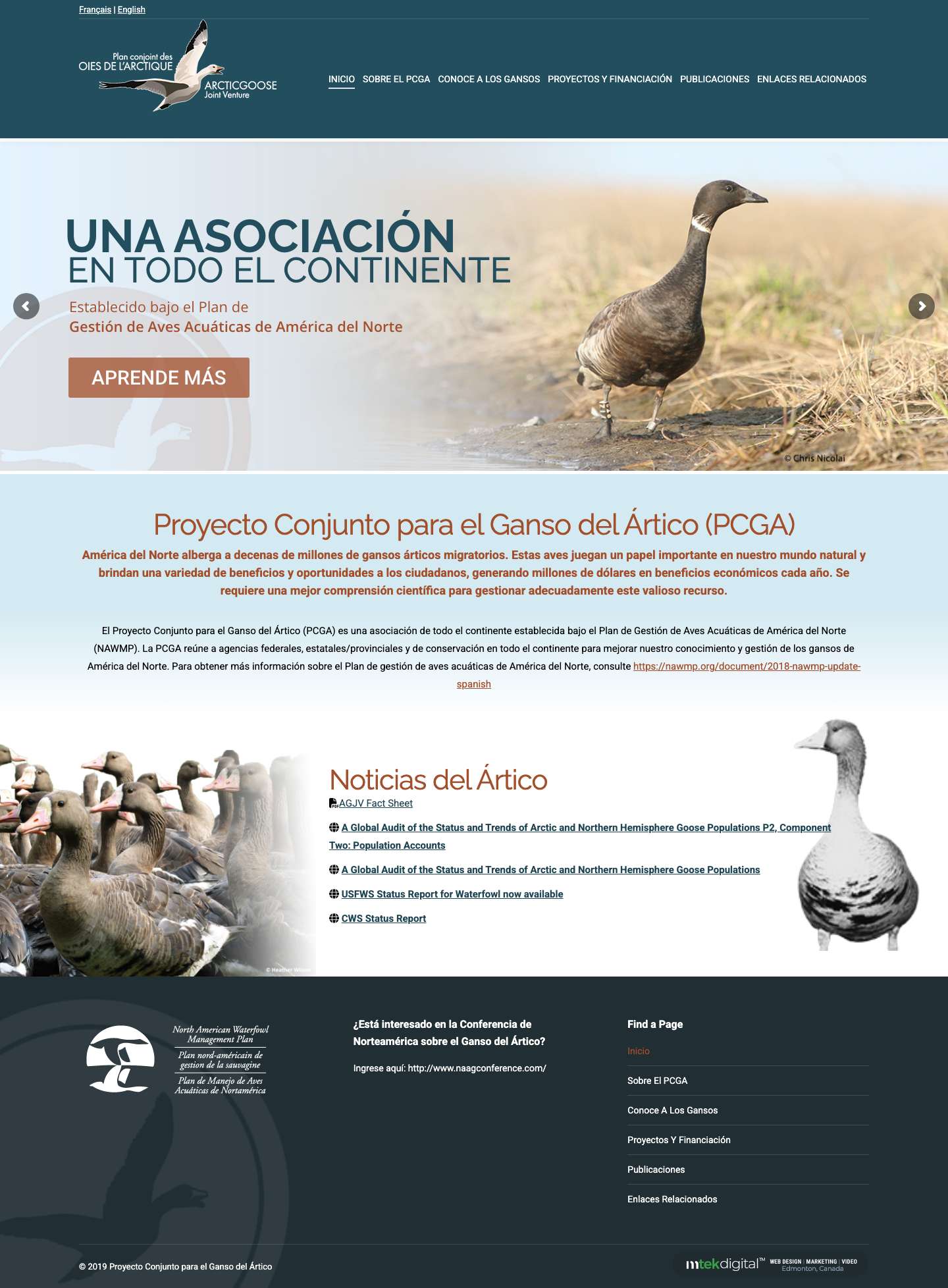 Inicio - Proyecto Conjunto para el Ganso del Ártico - Full Screenshot