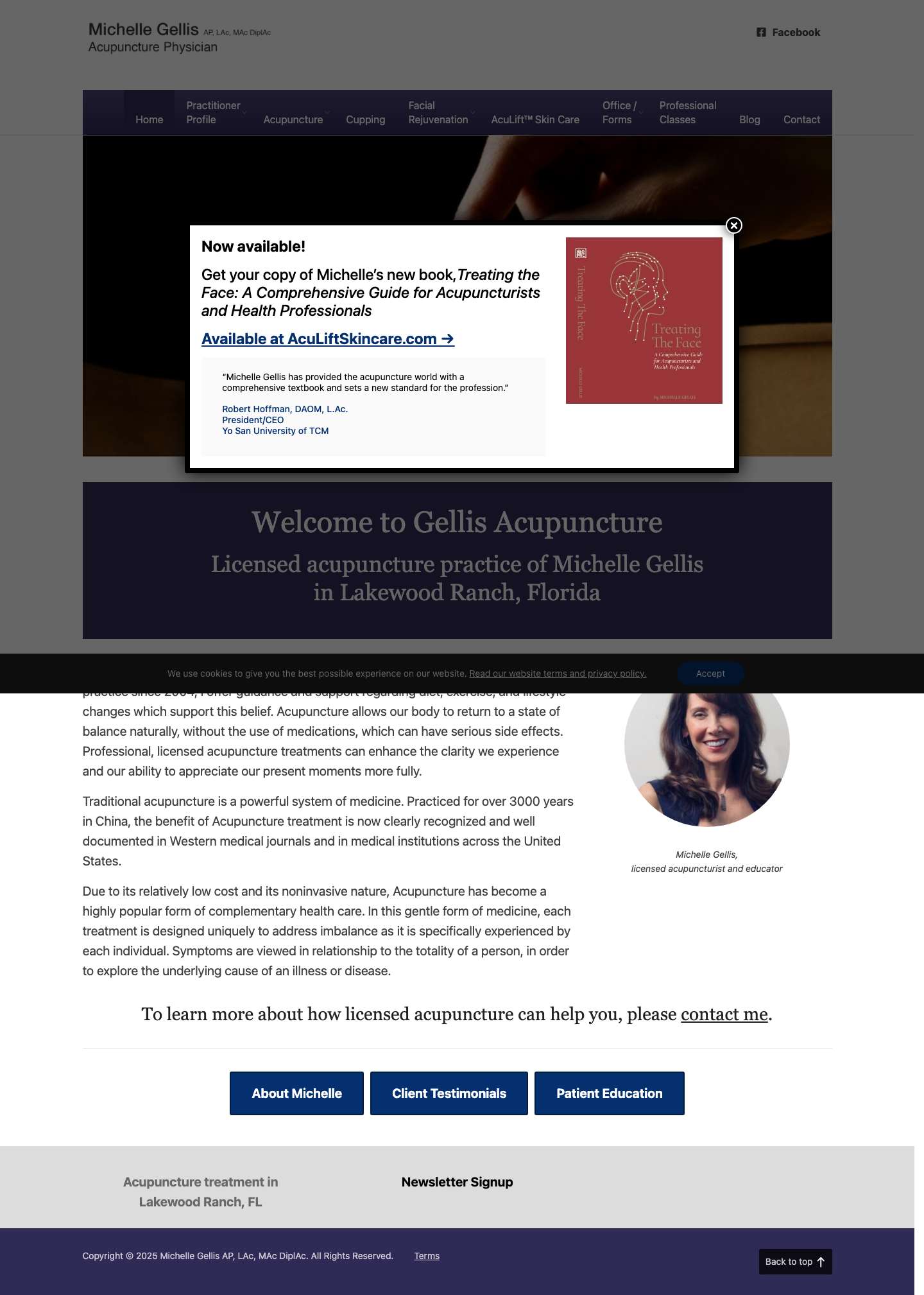 Michelle Gellis AP, LAc, MAc DiplAc - Full Screenshot