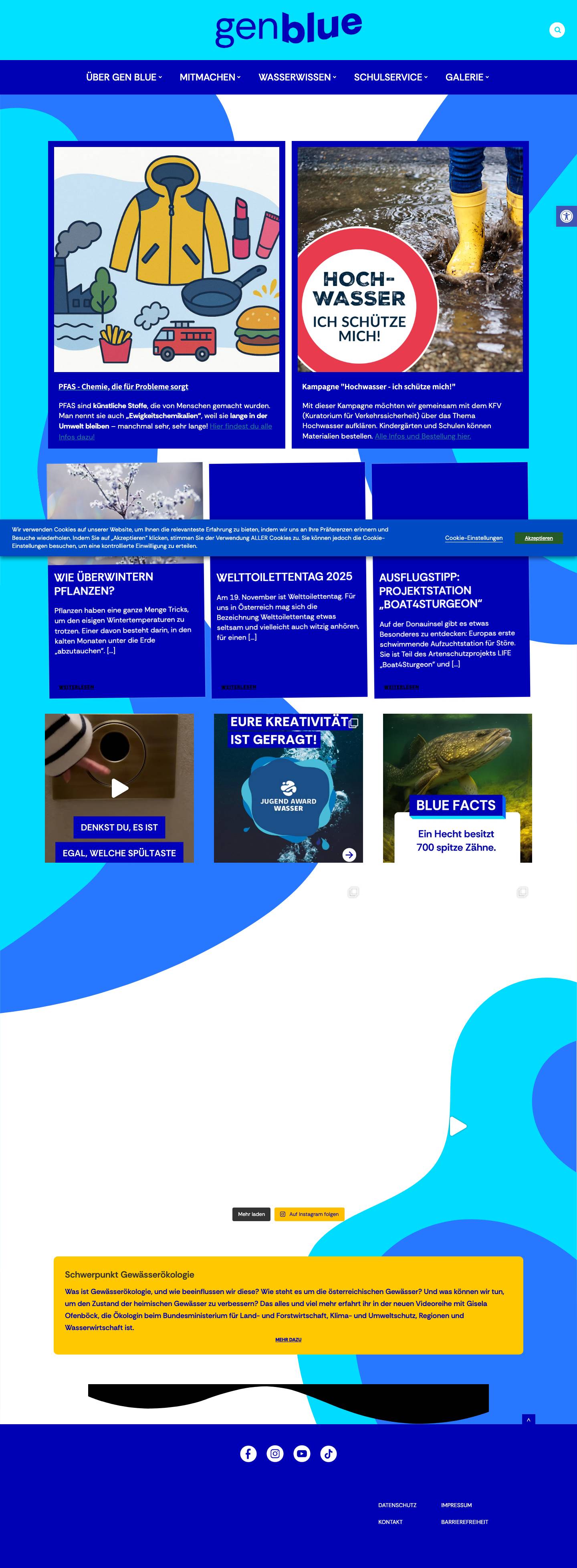 GenerationblueEingabehilfenText erhöhenText verringernGraustufenHoher KontrastNegativer KontrastHeller HintergrundLinks unterstreichenLesbare SchriftartReset - Full Screenshot