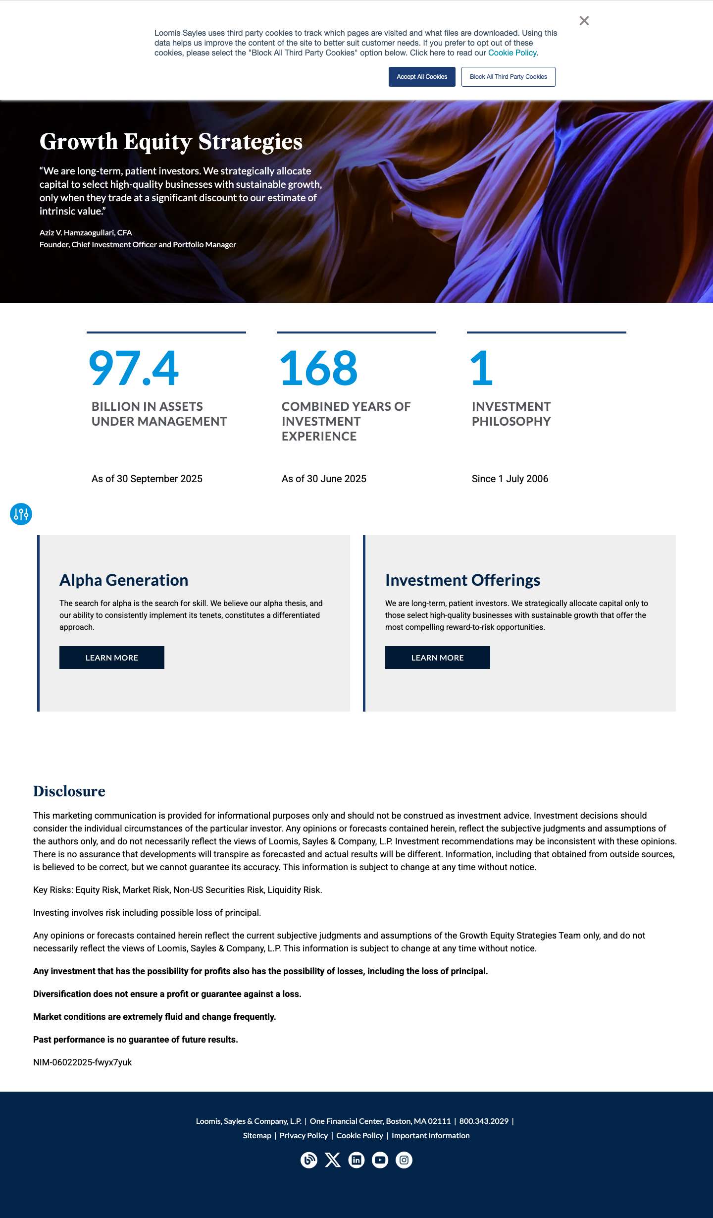 Home - Loomis, Sayles & Company - Full Screenshot