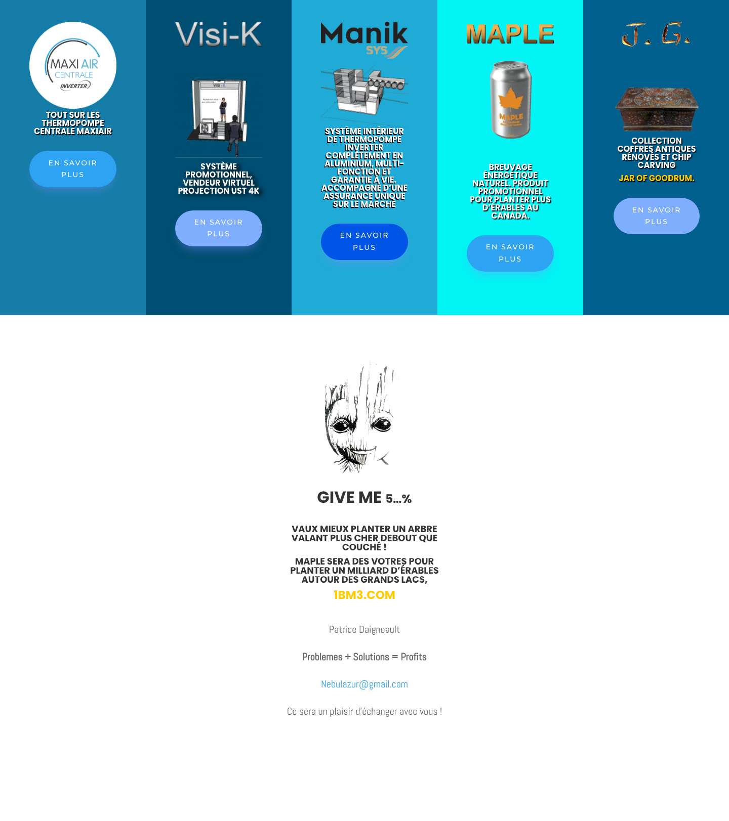 Gestion Patrice Daigneault | Problème + Solution = Profits - Full Screenshot