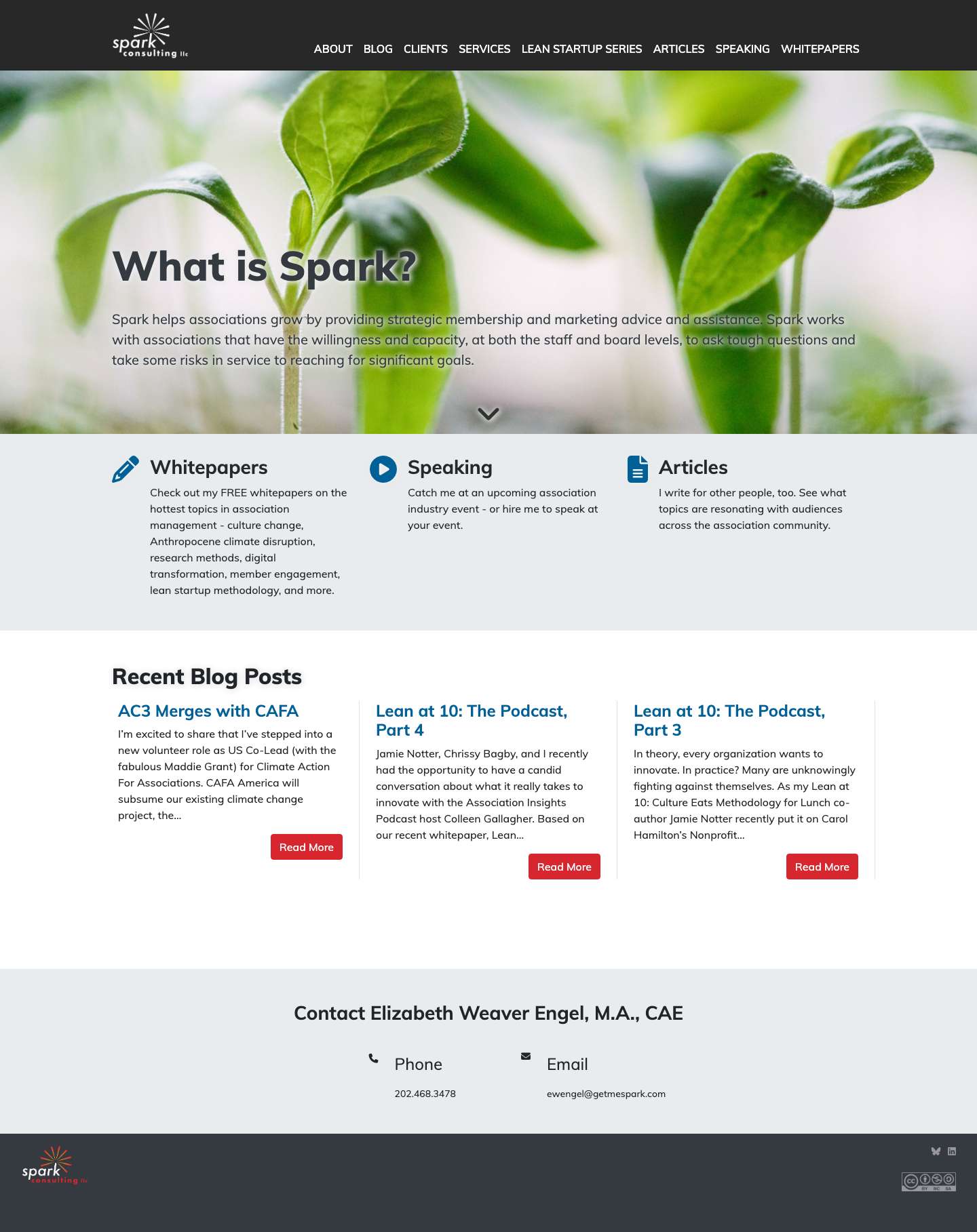 Homepage - Spark Consulting - Full Screenshot