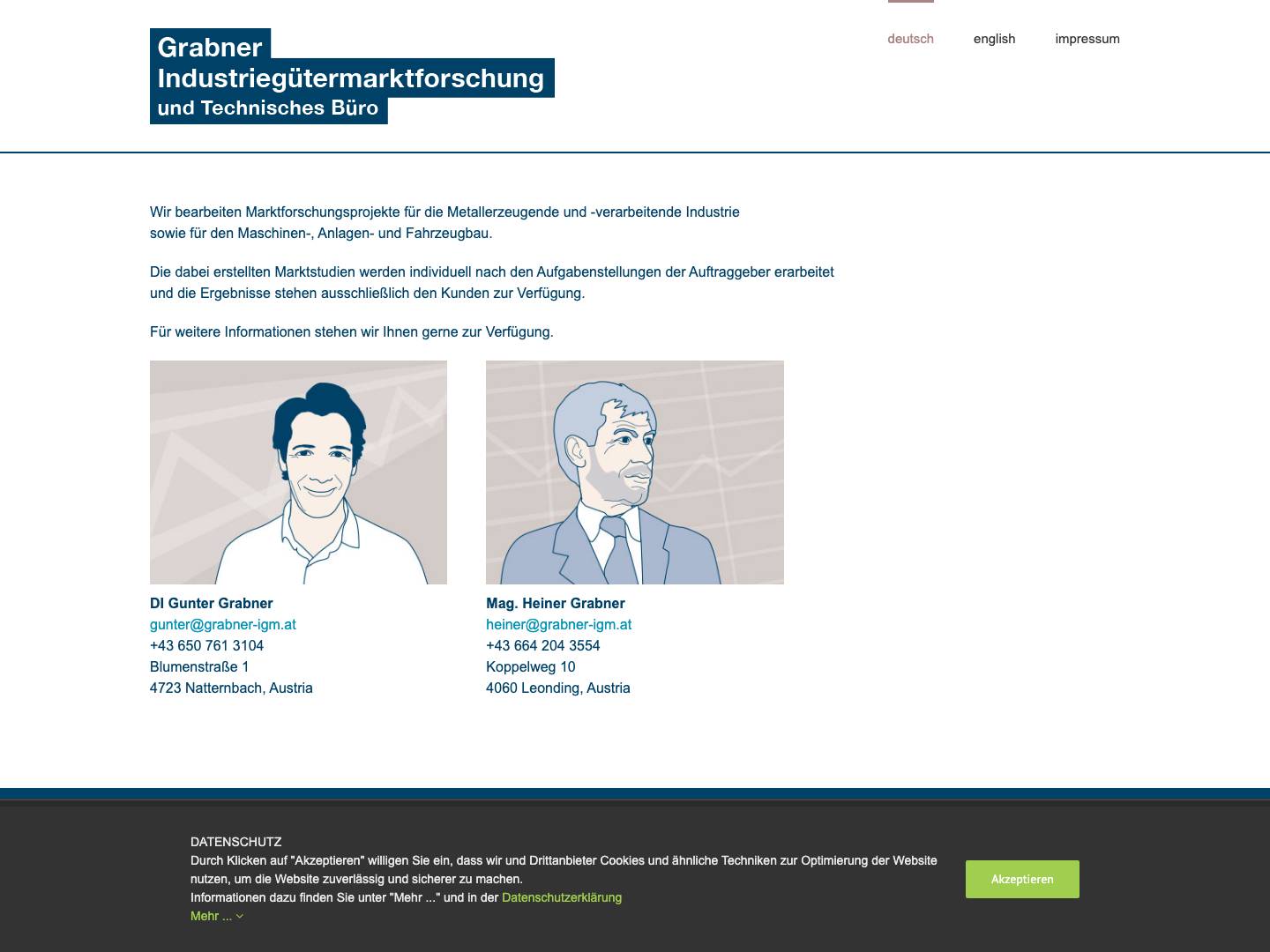 Grabner Industriegütermarktforschung – und Technisches Büro - Full Screenshot